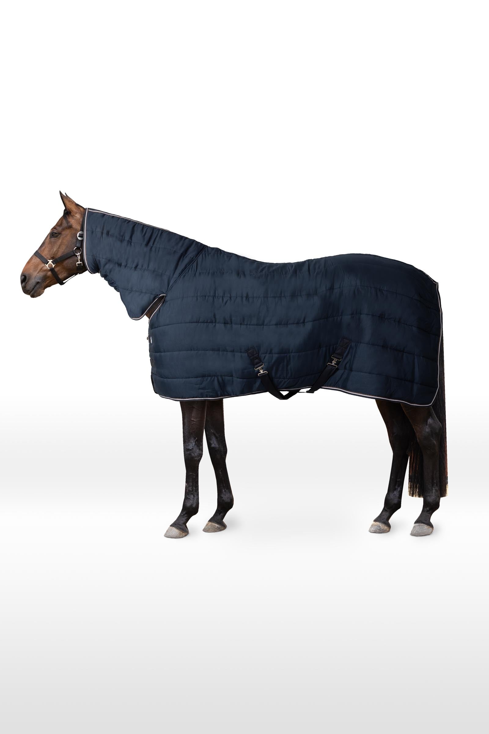 Horze Couverture d'écurie /sous-couche avec couvre-encolure Glasgow, 250 g Couvertures cheval