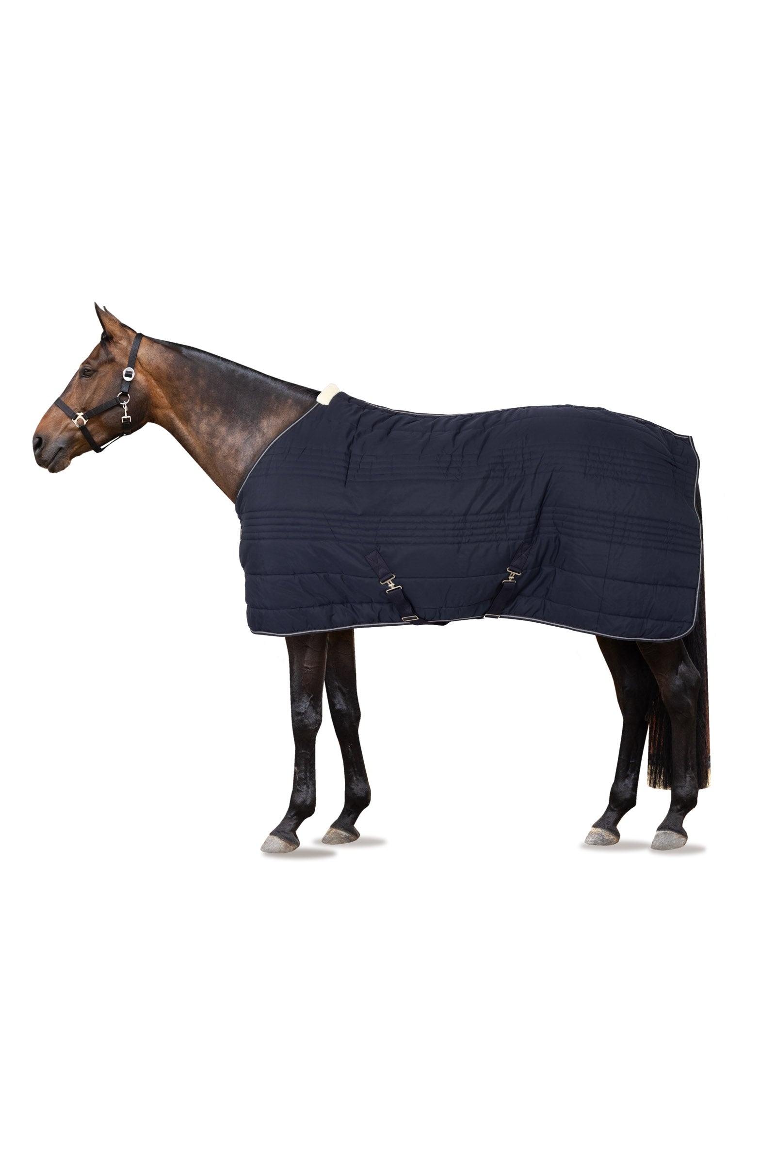 Horze Couverture d'écurie Kingsley, 150 g Couvertures cheval