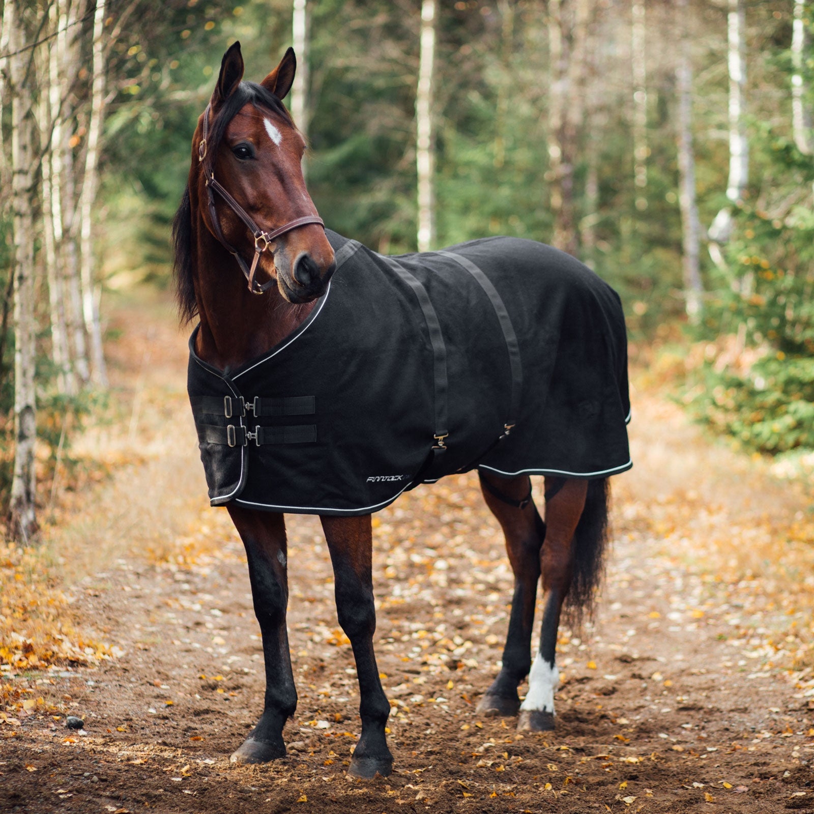 Finntack Couverture laine Elite Couvertures cheval