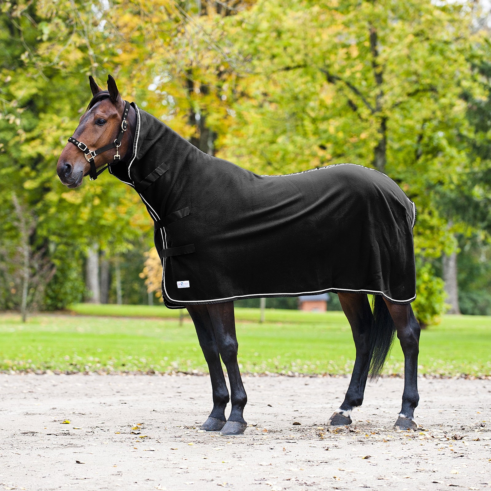 Finntack Chemise avec haute encolure Pro Couvertures cheval