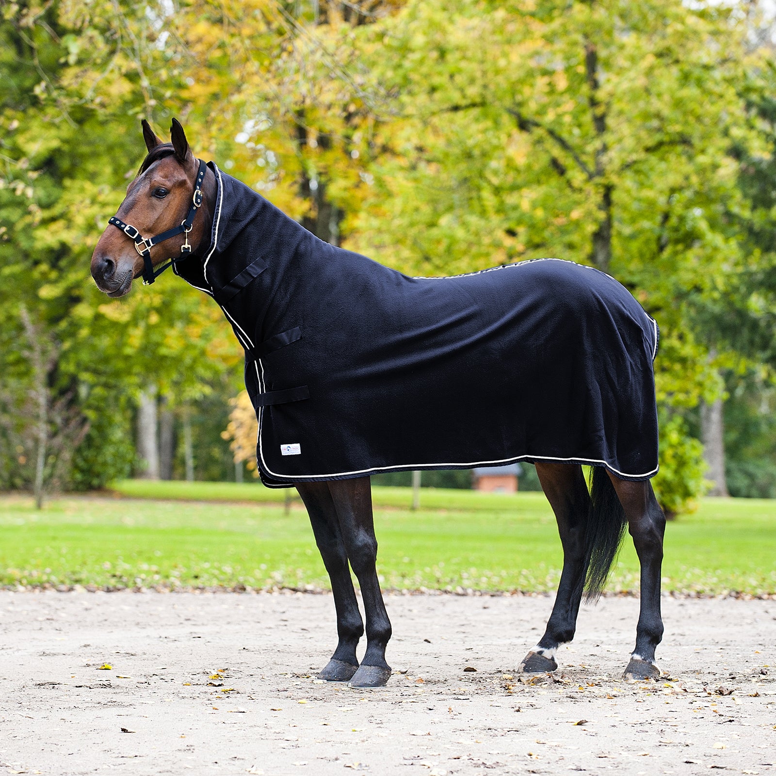 Chemise De Saut Horze – Neuf Avec Défauts