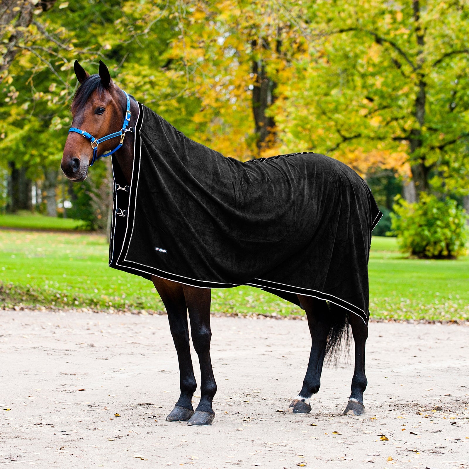 Finntack Chemise de séchage Pro Couvertures cheval