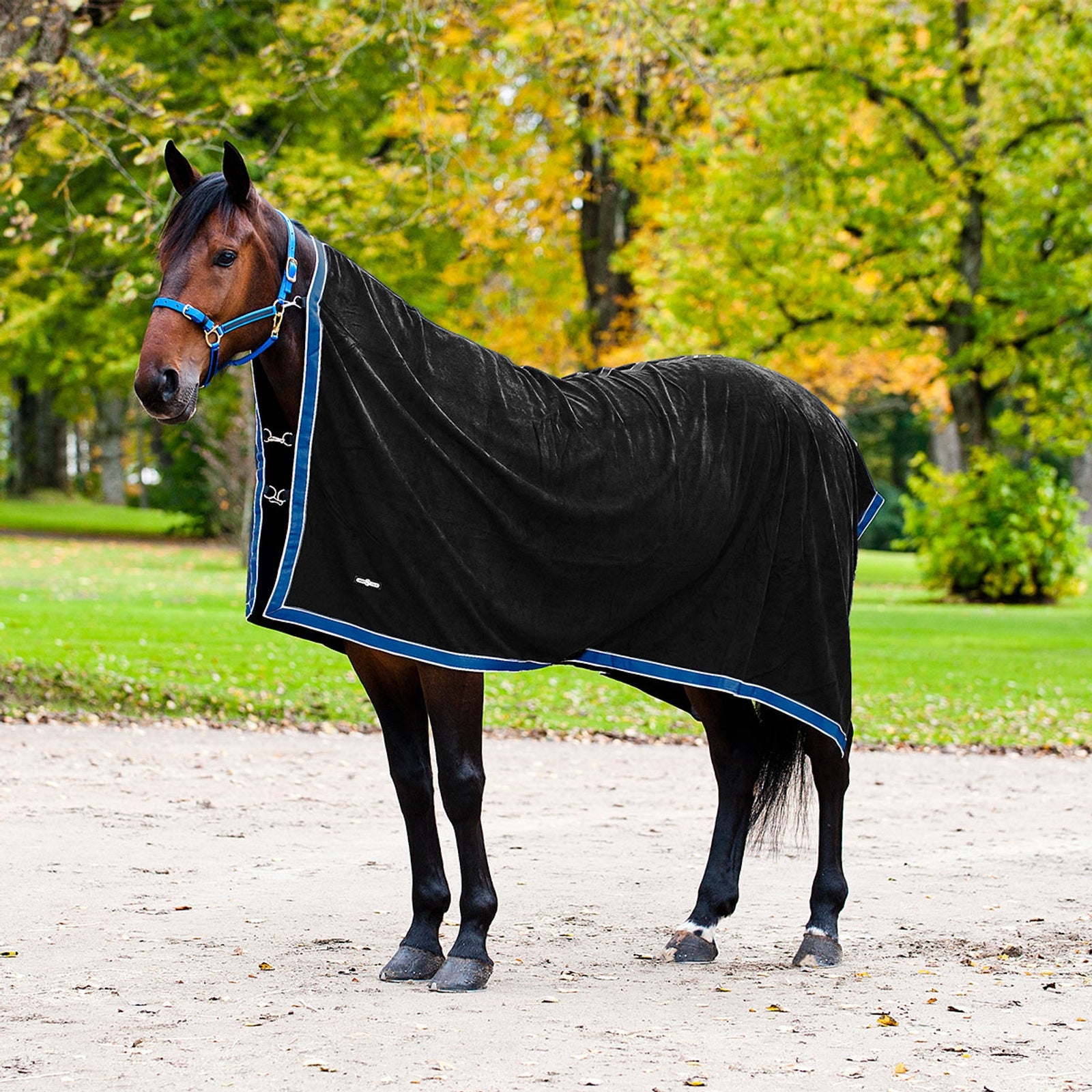 Finntack Pro Fleece Cooler Horse Rugs