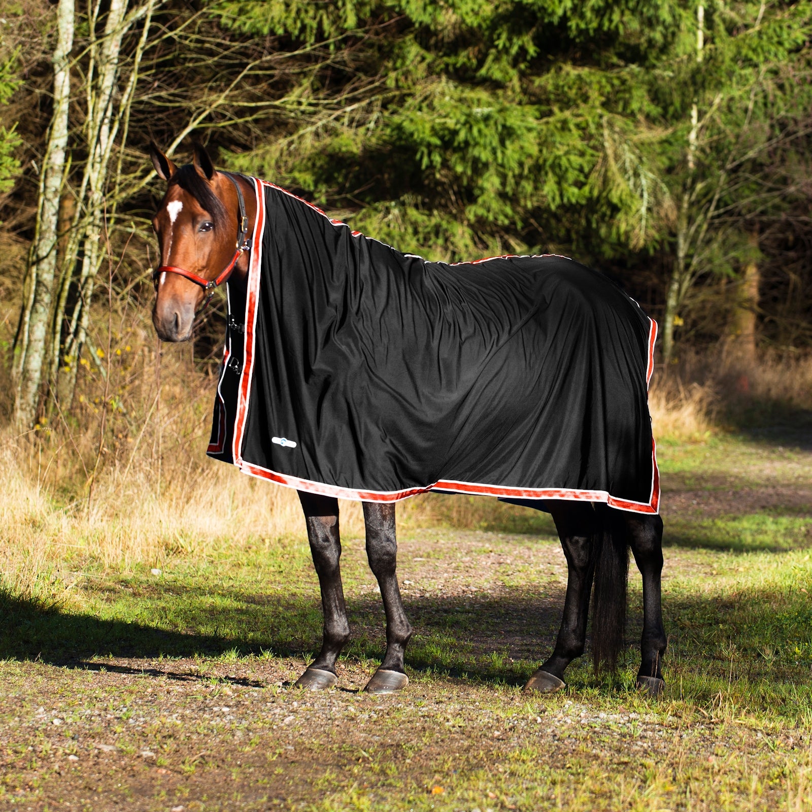 Finntack Chemise de séchage Pritex Pro Couvertures cheval