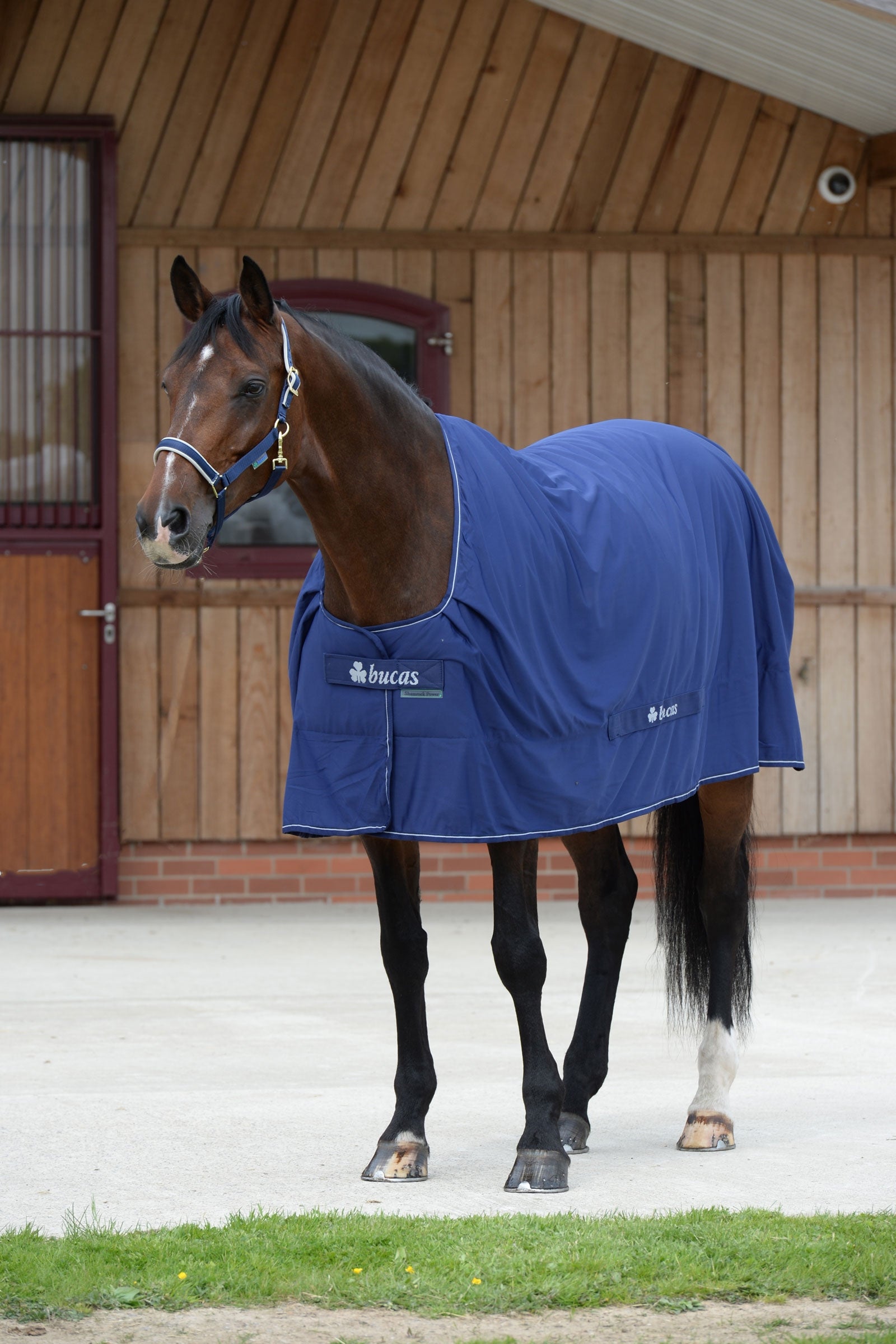 Bucas Shamrock Power couverture Couvertures cheval