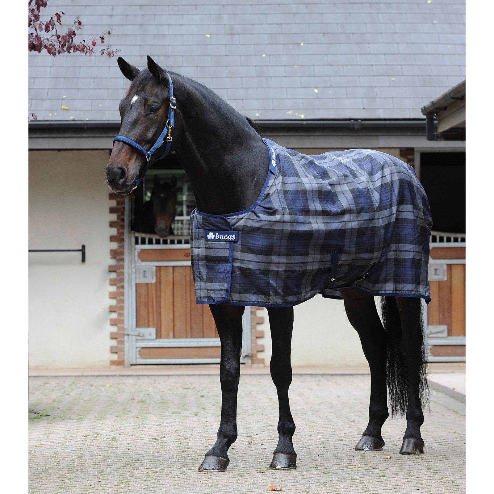Bucas Couverture Celtic Stable Extra Couvertures cheval