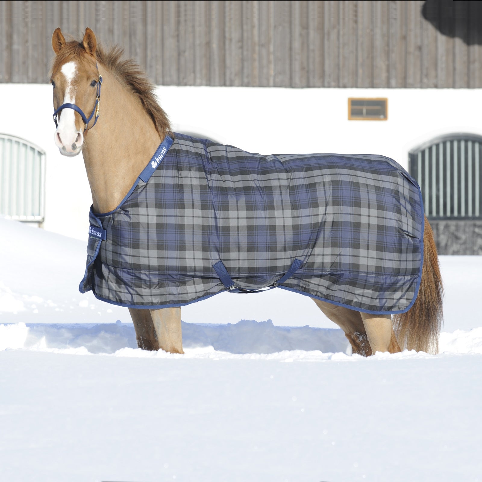Bucas Couverture d'écurie Celtic, Light Couvertures cheval