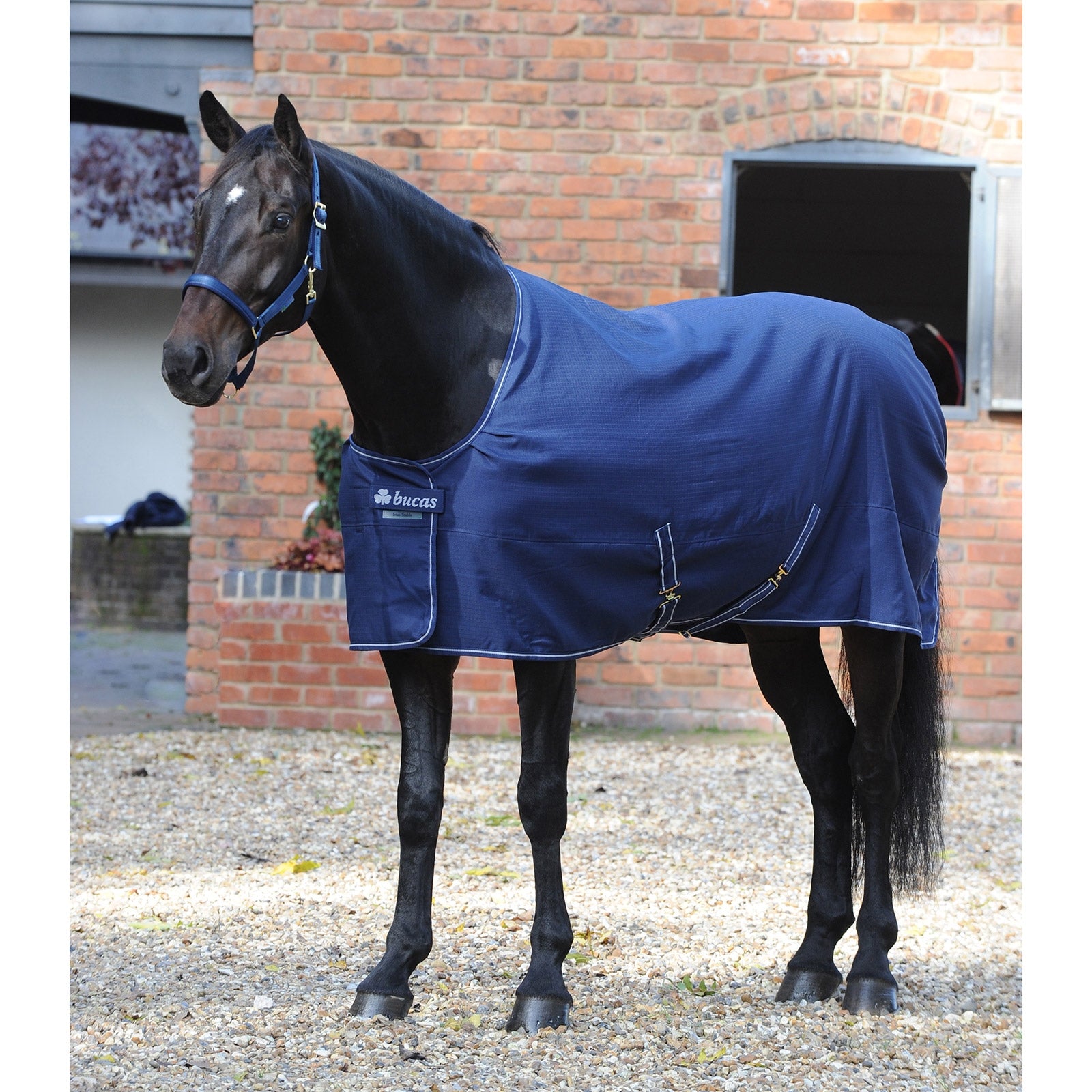 Bucas Irish Stable blanket, Light Horse Rugs