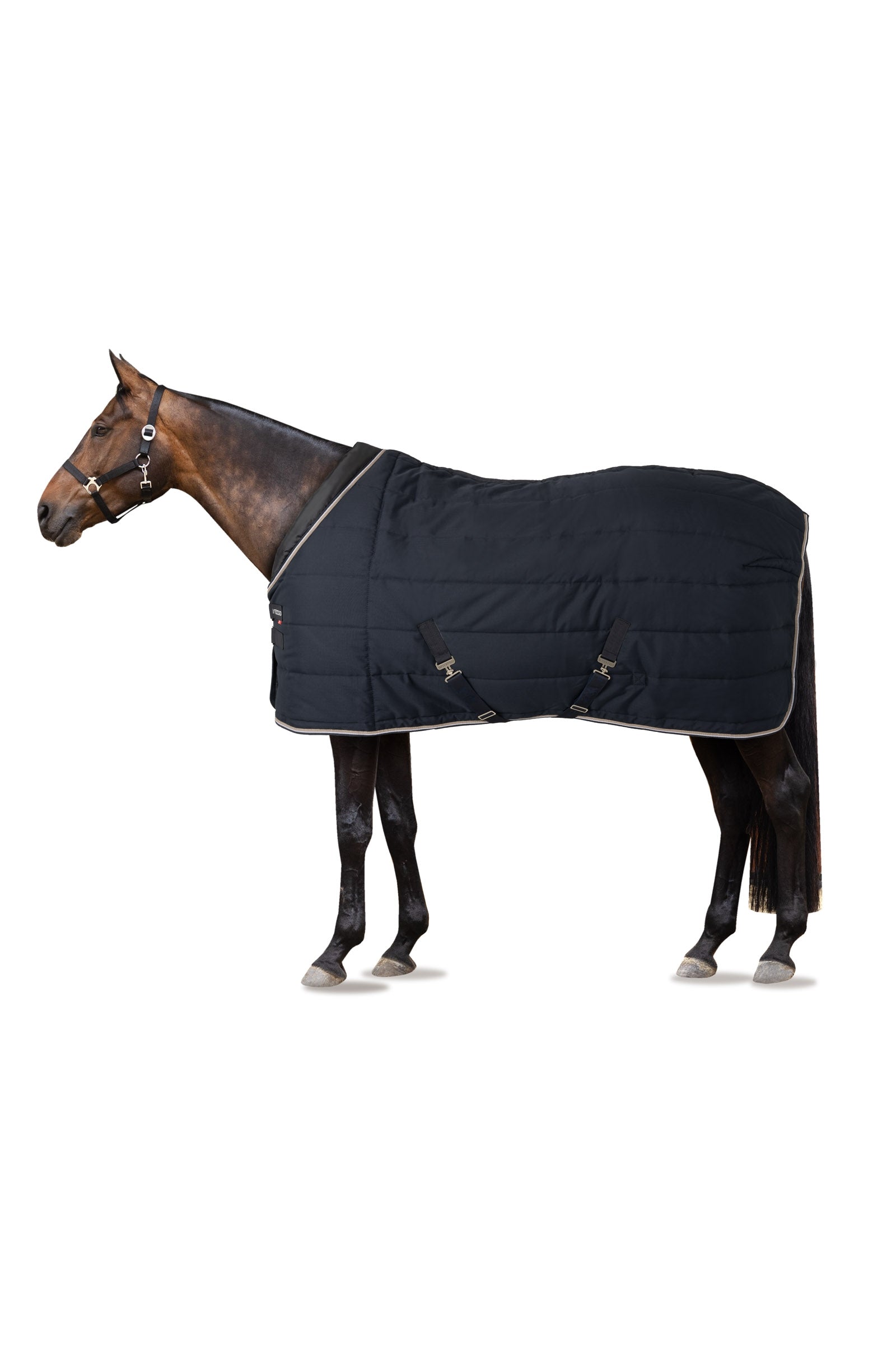 B Vertigo Couverture d'écurie Tim 400 g Couvertures cheval