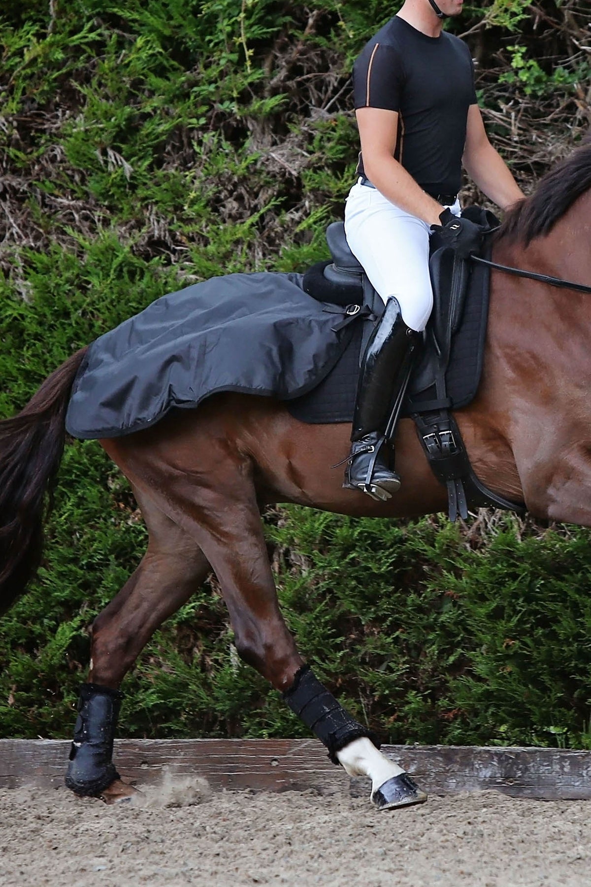 Back on Track Exercise Sheet Horse Rugs
