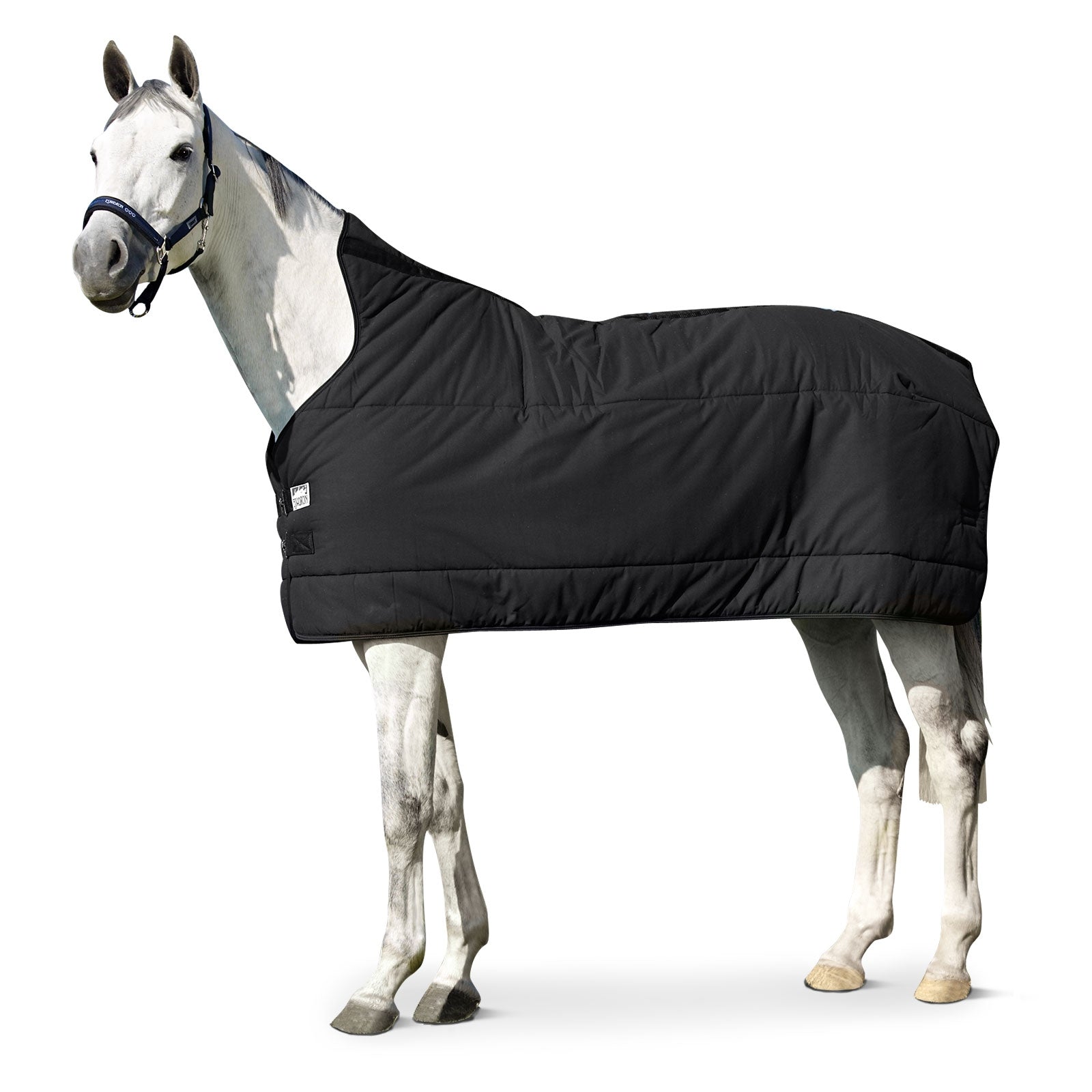 Eskadron Rug UNDER RUG 240 g Couvertures cheval