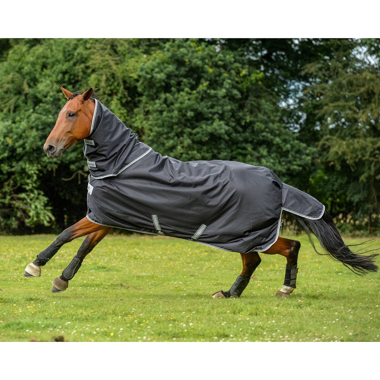 Bucas Smartex Couvre-encolure, 0 g Couvertures cheval