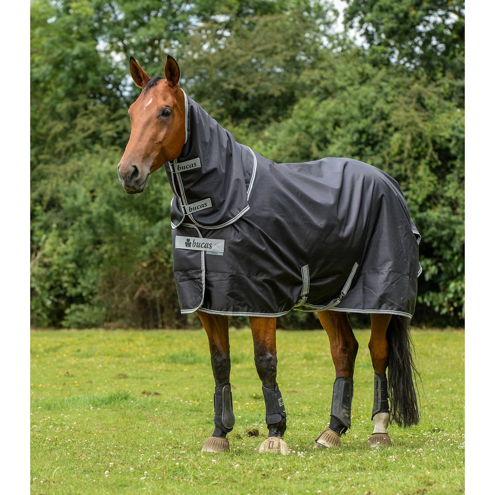 Bucas Smartex Neck, 0 g Horse Rugs