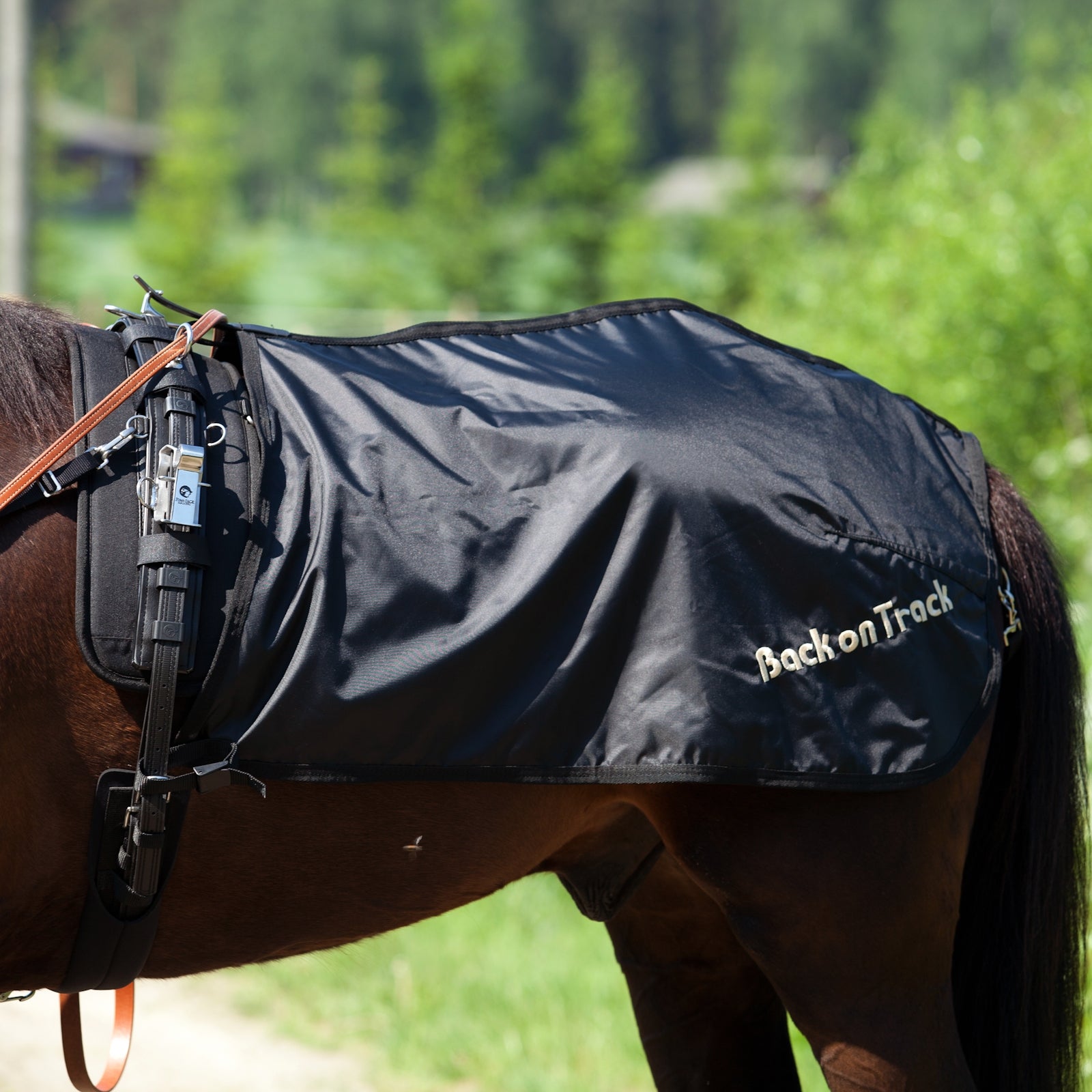 Back on Track Couvre-reins trot, modèle suédois Couvertures cheval