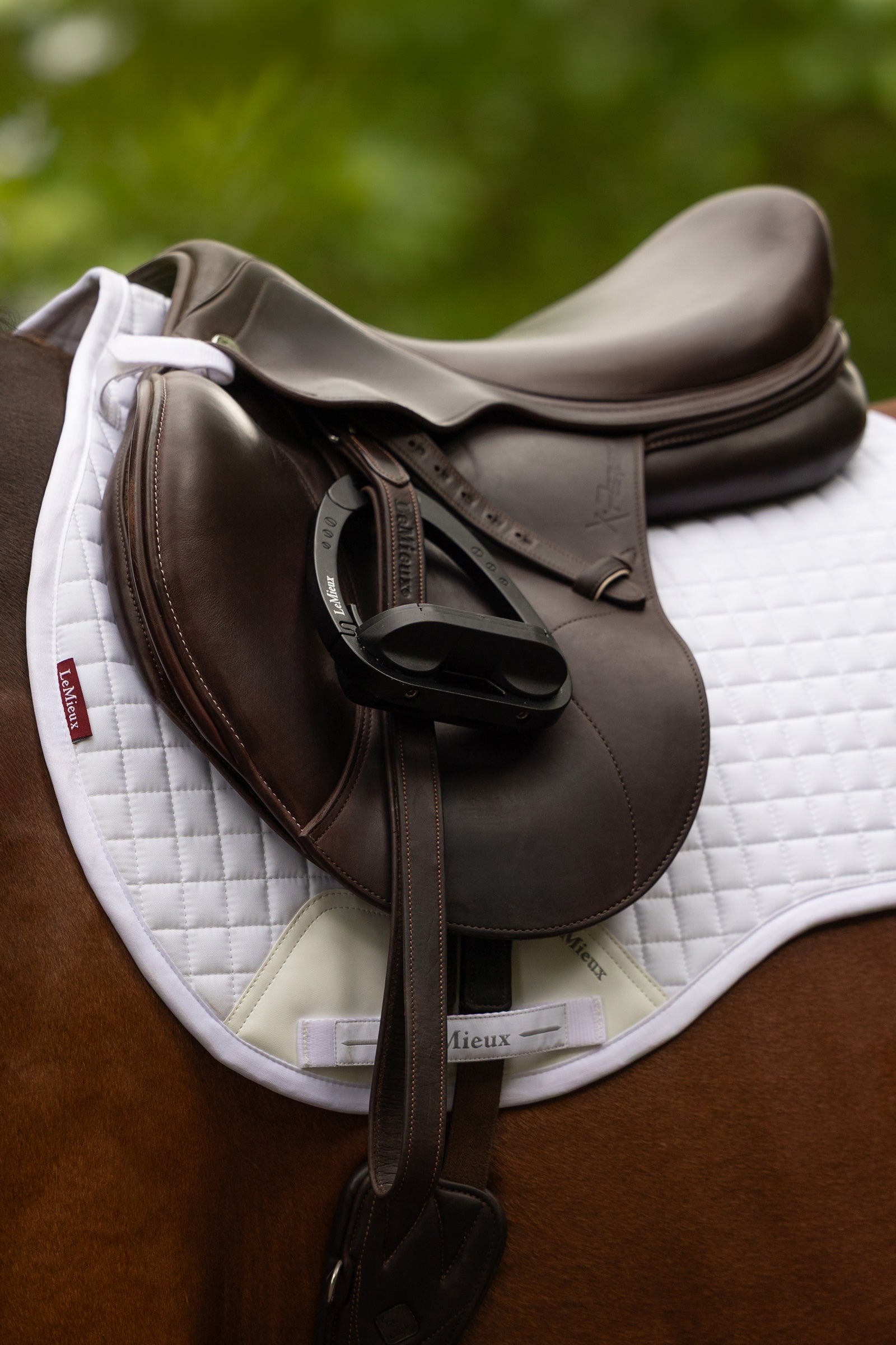 LeMieux Cotton GP Square Saddle Pad Saddle Pads