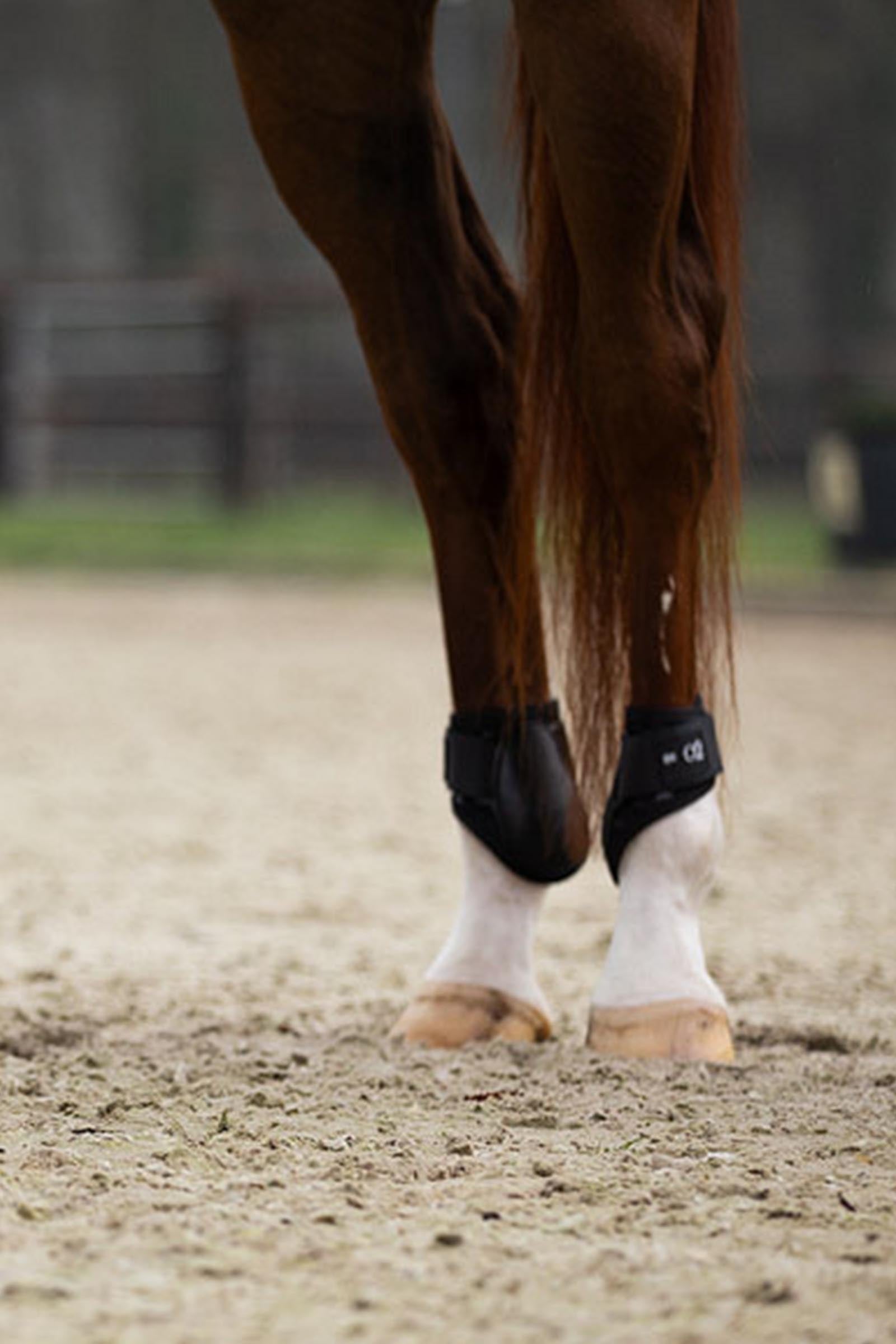 BR XO2 Fetlock Boots Leg & Hoof Protection