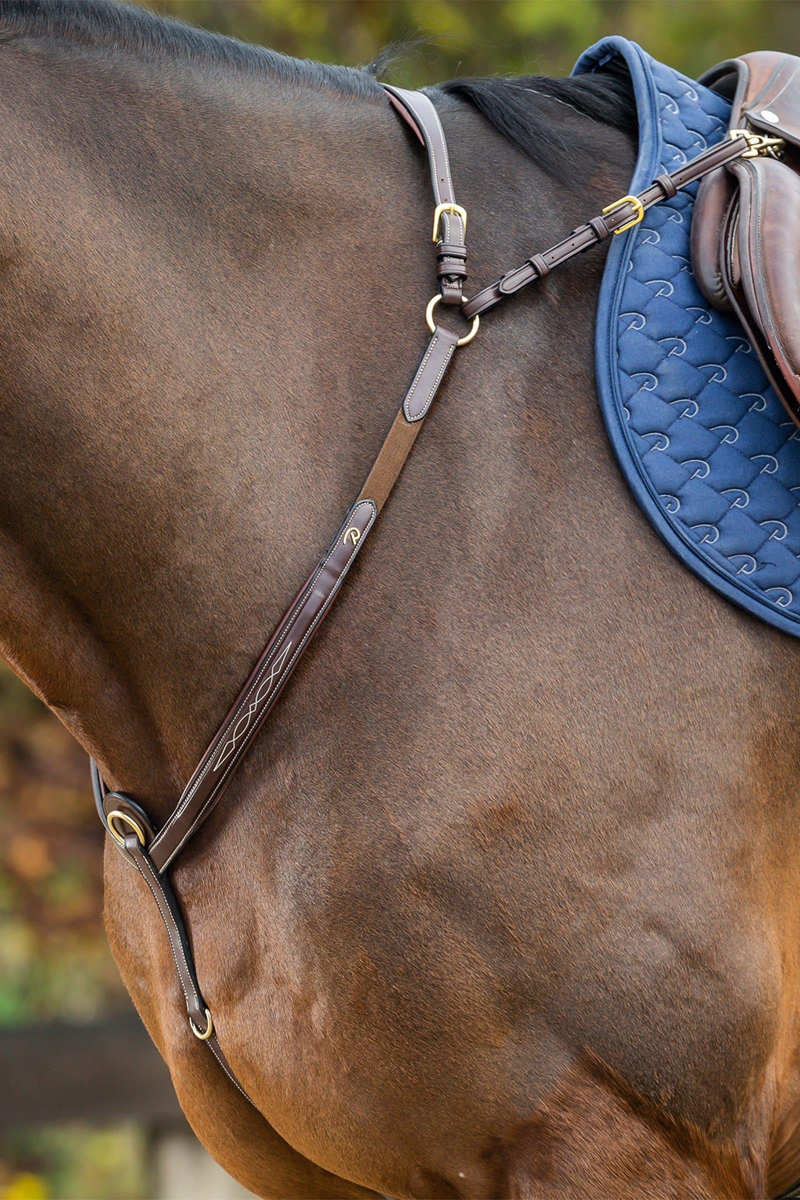 Dy'on D Collection collier de chasse à pont Briderie et enrênements