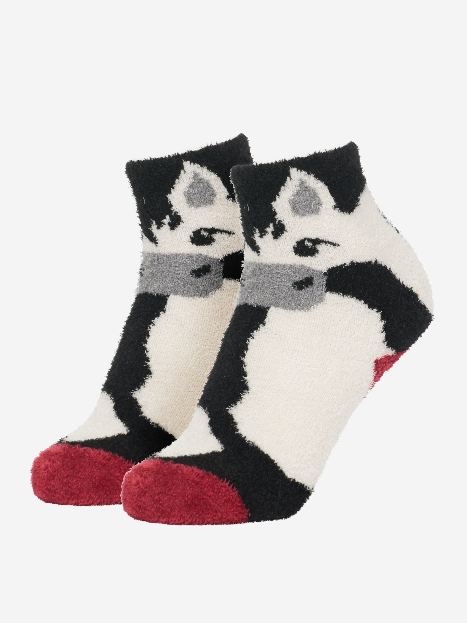 LeMieux Lot de 2 paires de socquettes LeMieux Chaussettes