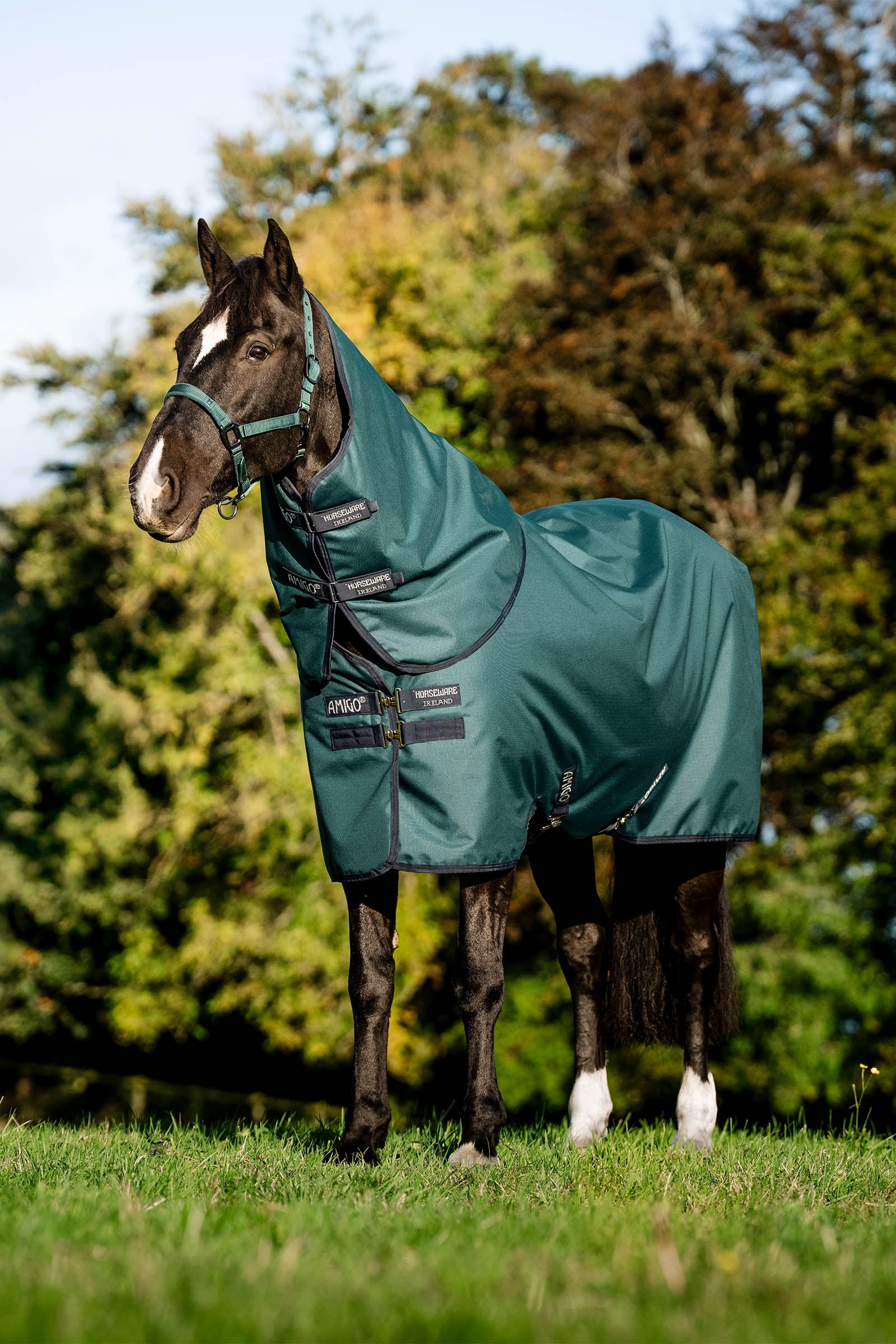 Horseware Amigo Ripstop 900D Plus Turnout Rug With Detachable Neck, 0 g Couvertures cheval