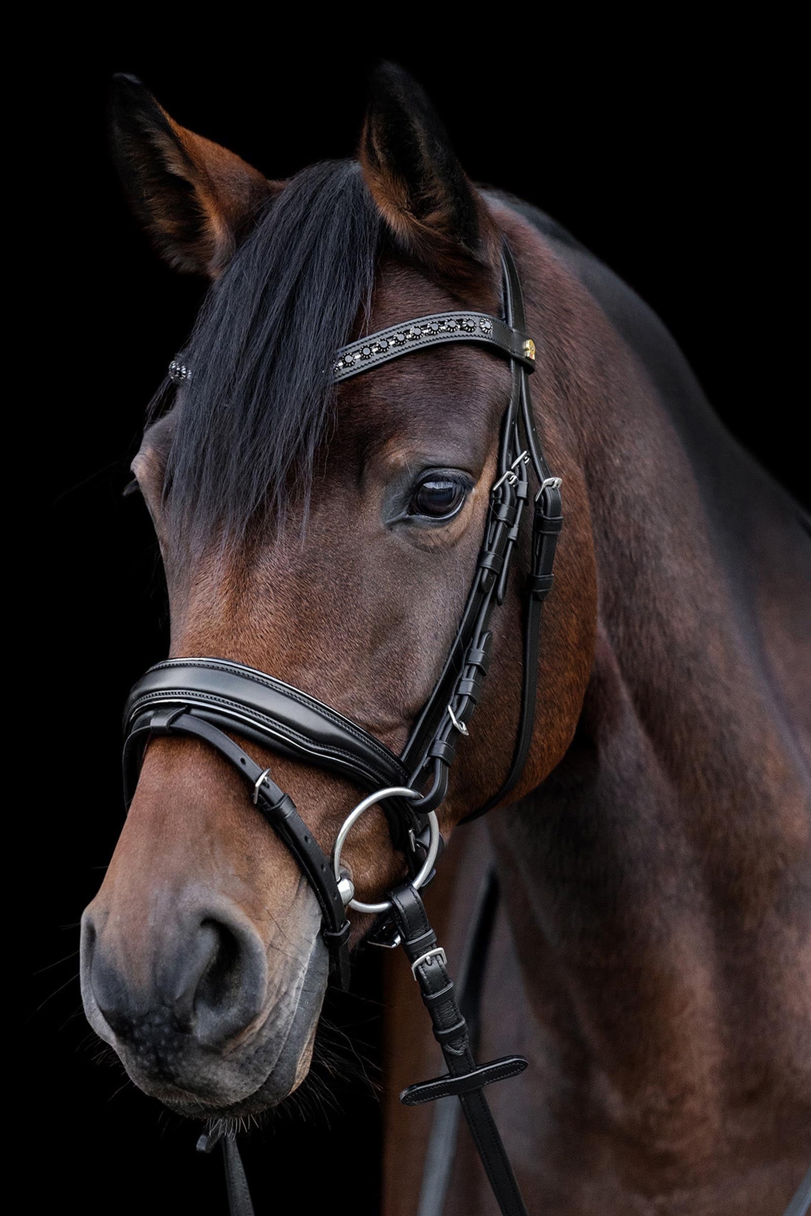 Waldhausen S-Line Blackshine Bridle Patent Leather Bridles & Reins