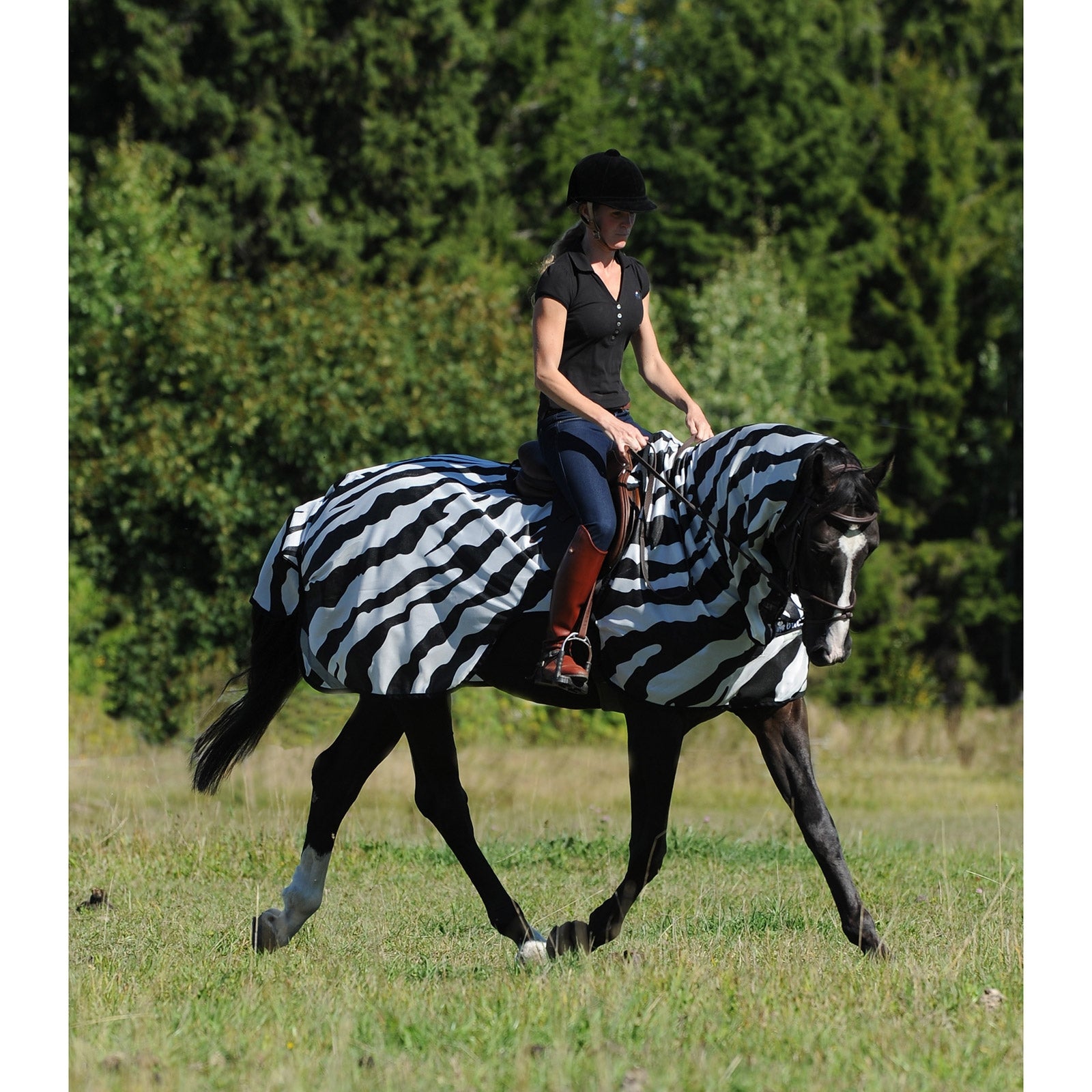 Bucas Couverture d'extérieur Zebra Buzz-Off Couvertures cheval