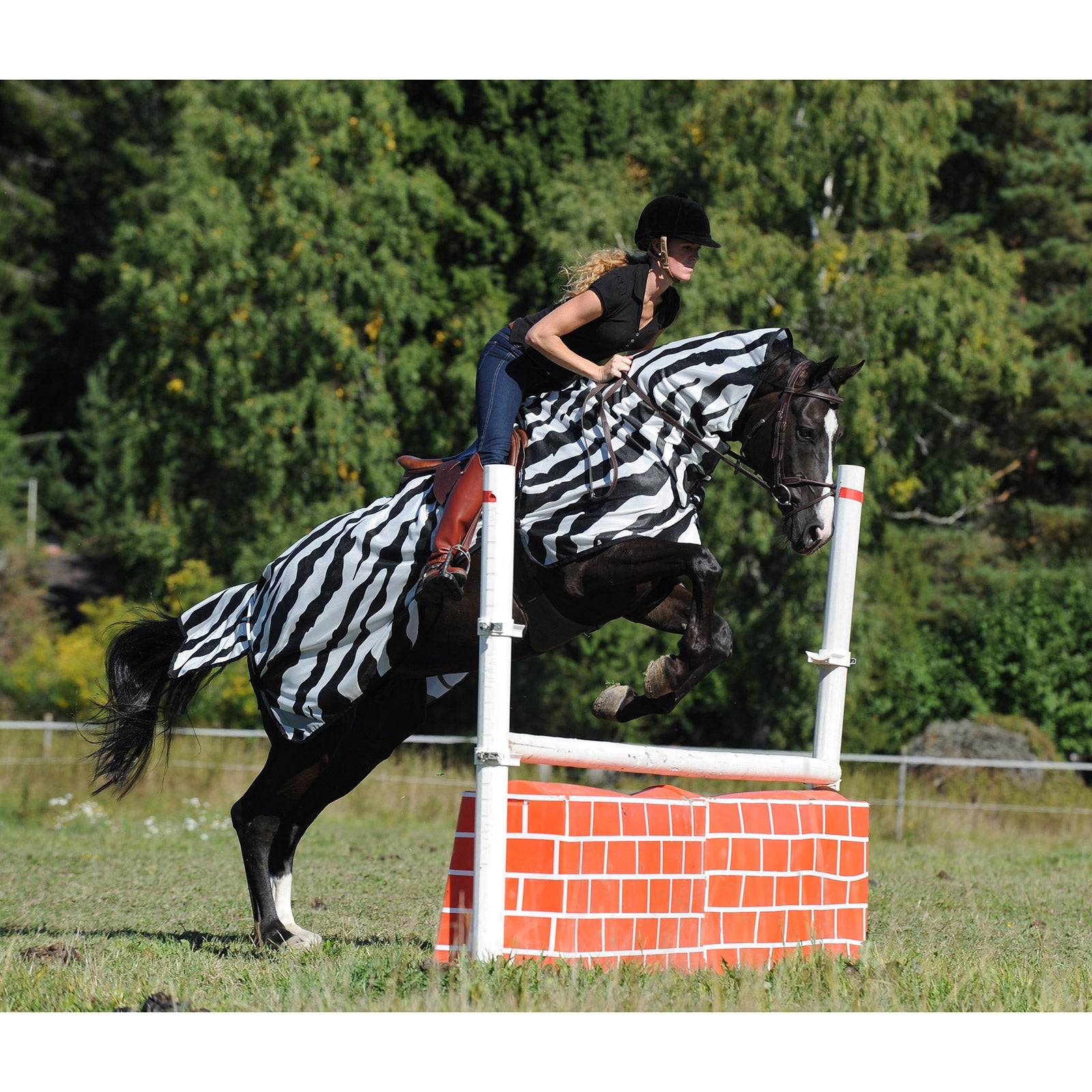 Bucas Buzz-Off Zebra Fly- and Riding Rug Horse Rugs