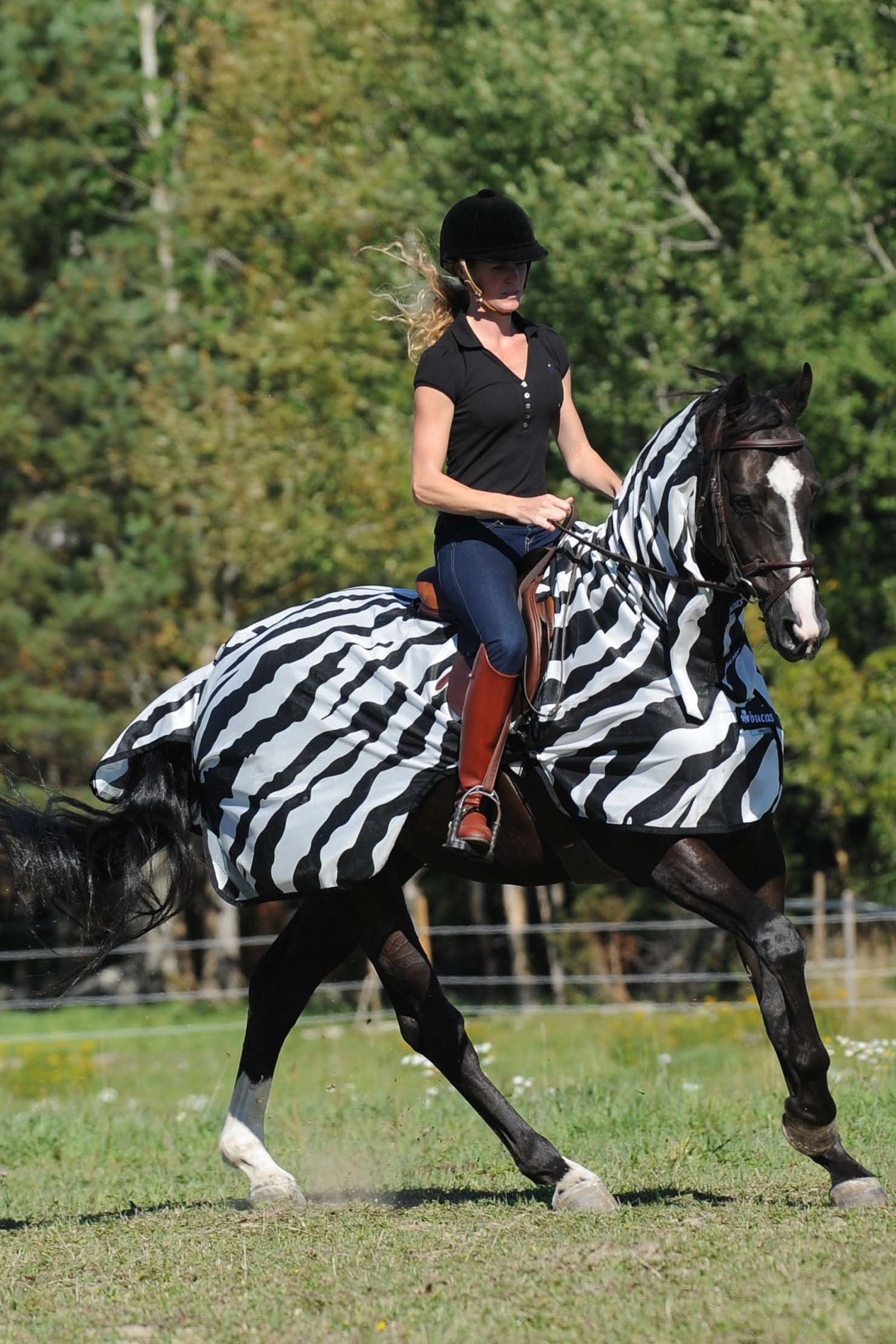 Bucas Buzz-Off Zebra Fly- and Riding Rug Horse Rugs