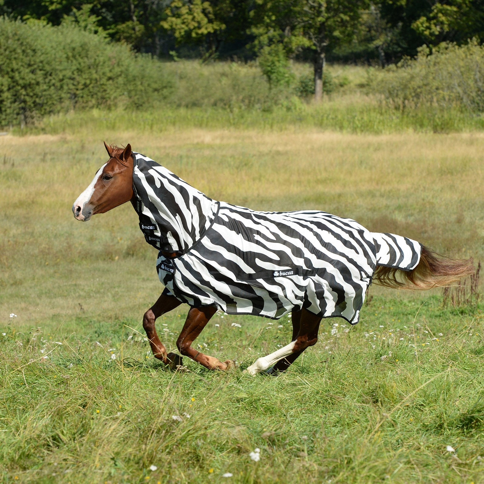 Bucas Couverture Buzz-Off Zebra Bucas Couvertures cheval