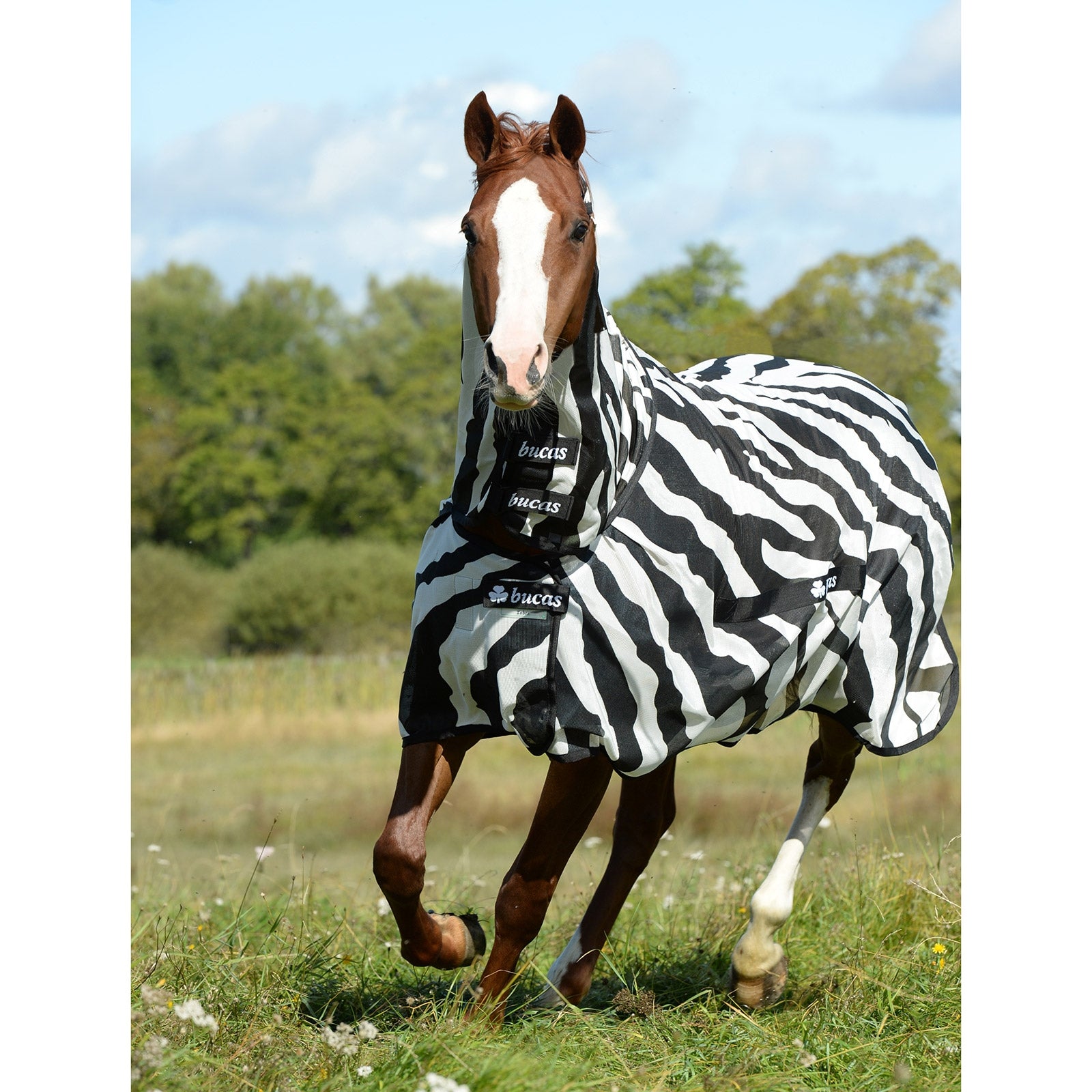 Bucas Buzz Off Zebra Fly Rug with fixed neck Horse Rugs