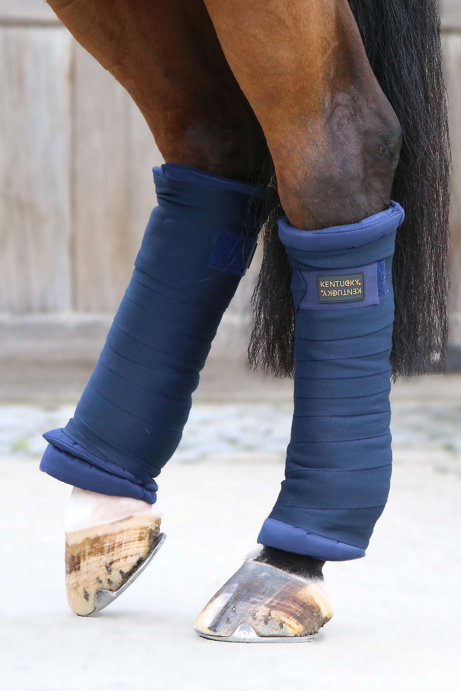 Kentucky Horsewear Sous-bandages matelassés , lot de 4 Leg Protection & Hoof Protection for Horses