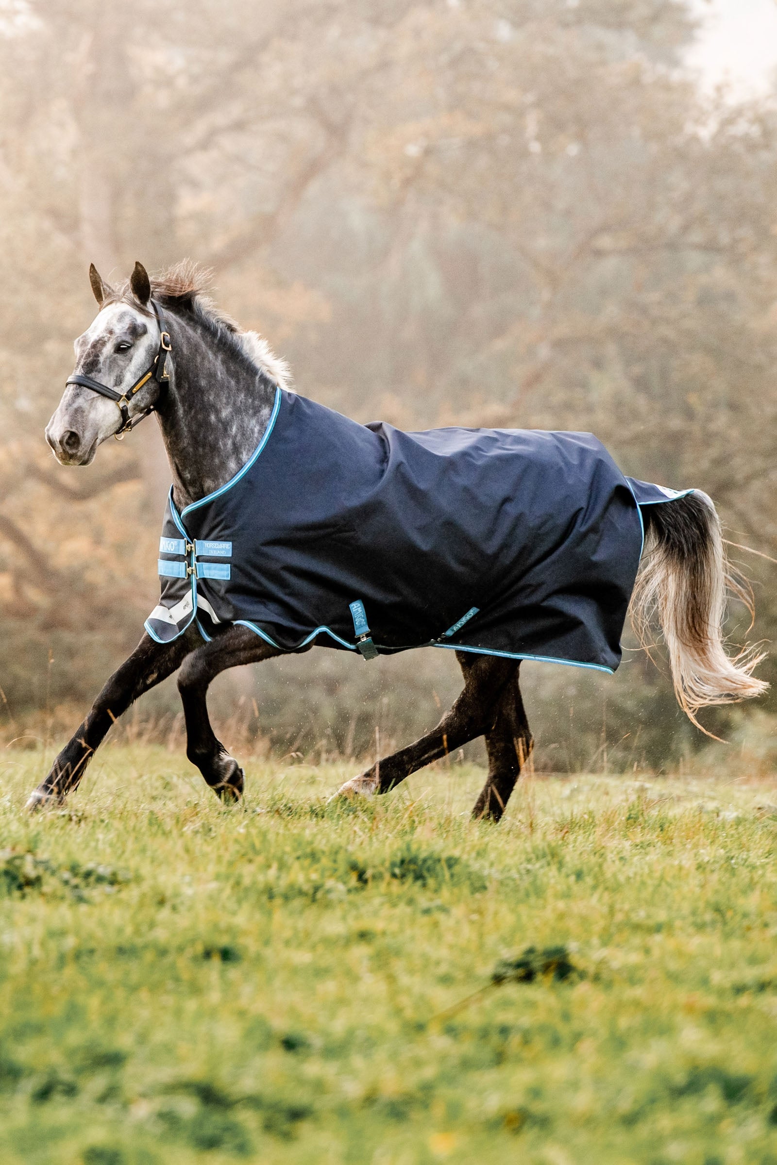Horseware Amigo Bravo 12 couverture d'extérieur, 100g Couvertures cheval