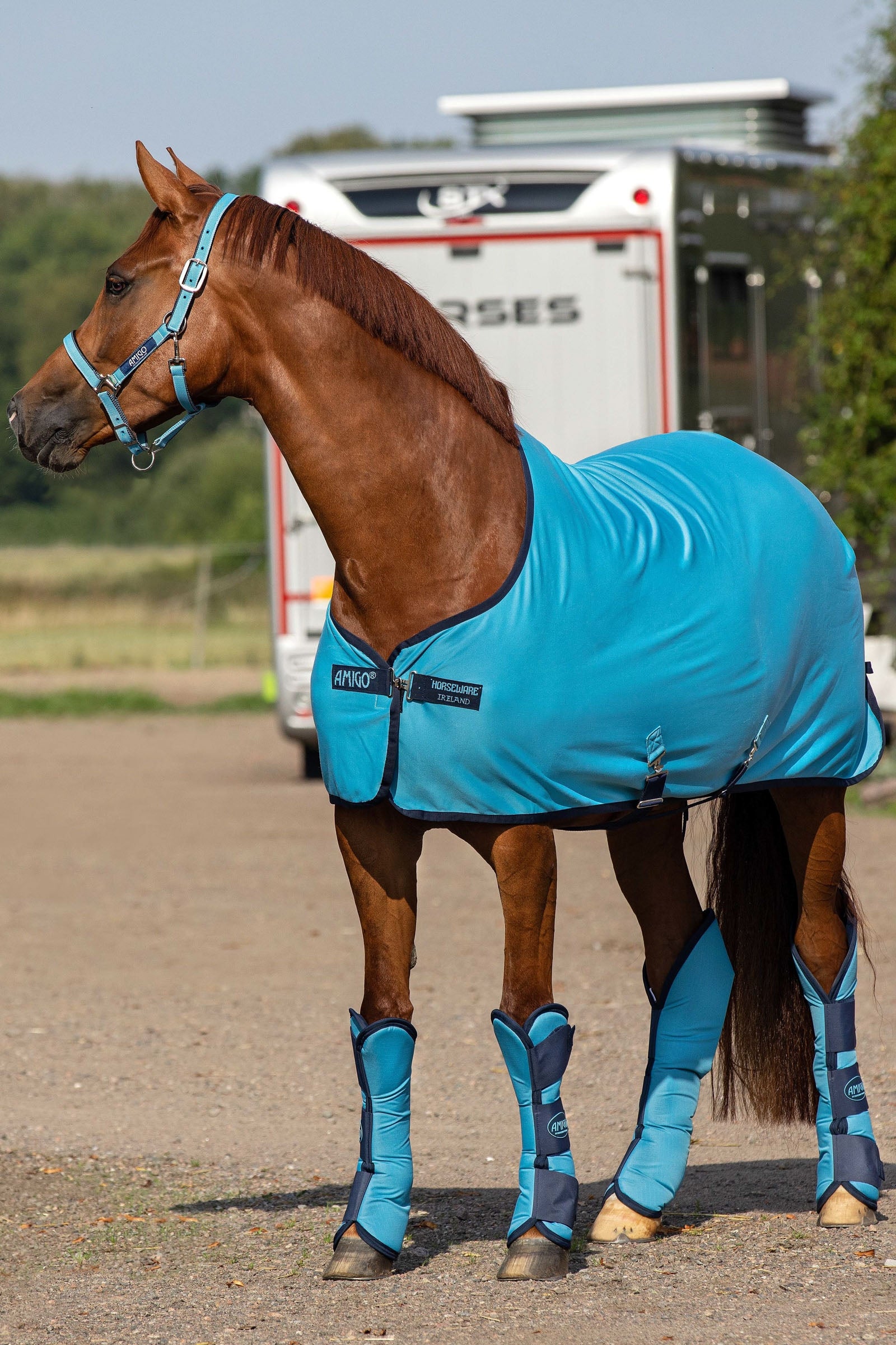 Horseware Amigo chemise séchante jersey Couvertures cheval