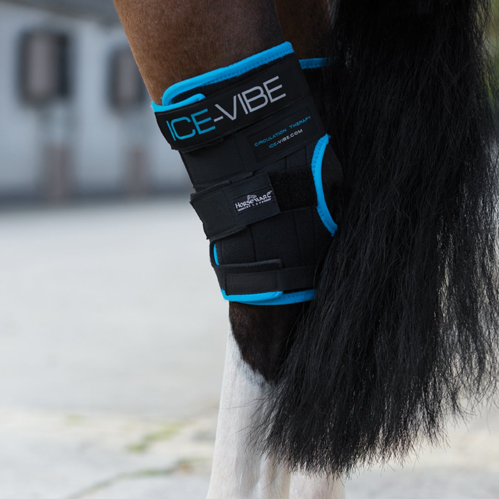 Horseware Protège-jarret Ice-Vibe Leg Protection & Hoof Protection for Horses