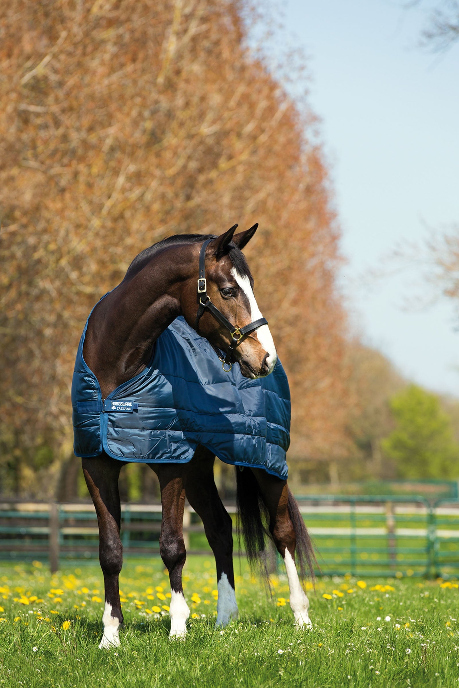 Horseware Liner sous-couverture, 200 g Couvertures cheval