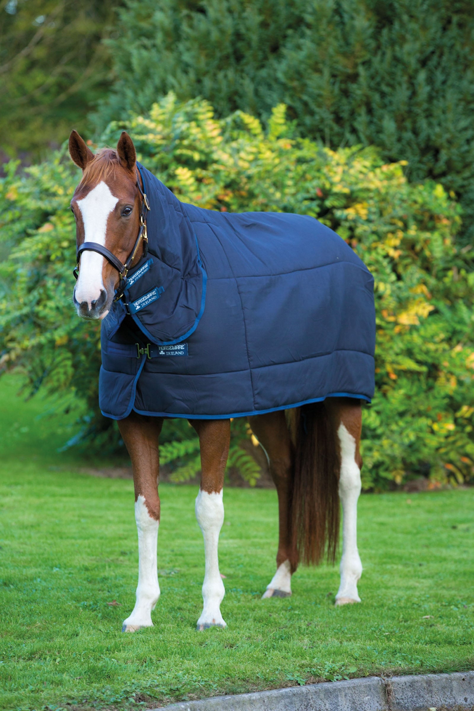 Horseware Sous-couverture Plus, protège-encolure intégré, 300g Couvertures cheval