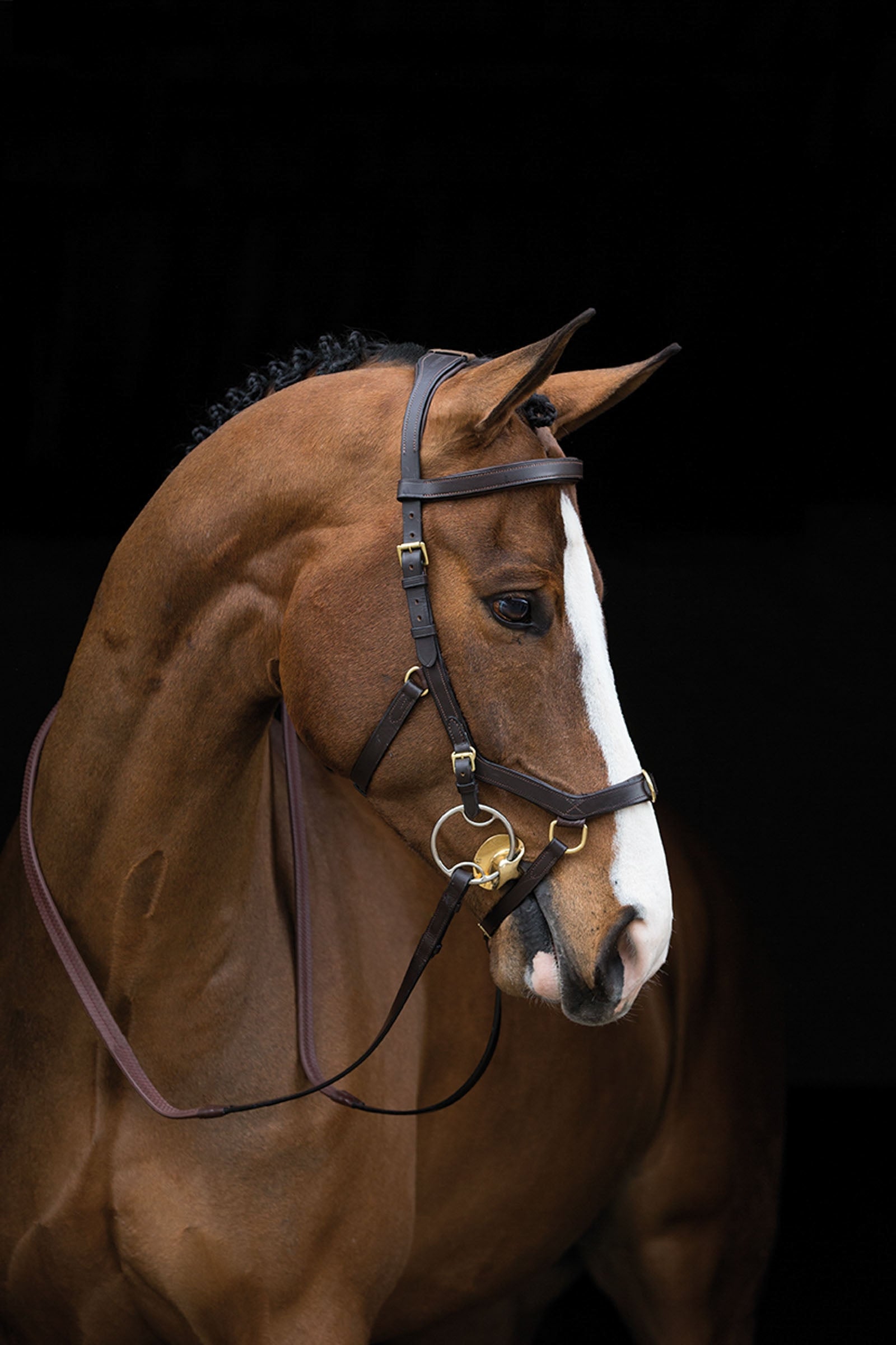 Horseware Filet Rambo Micklem Multi Briderie et enrênements