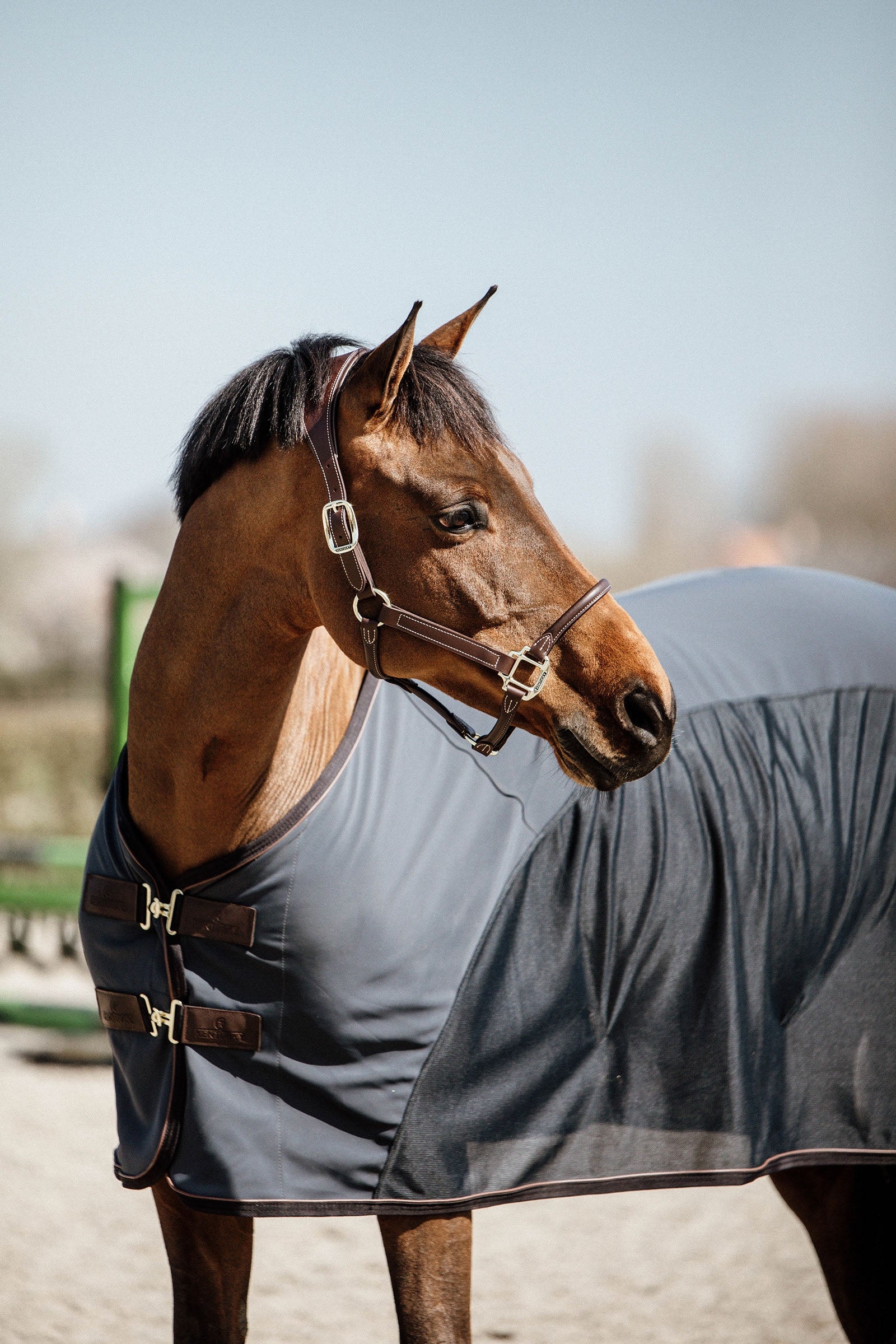 Kentucky Horsewear Séchante Softshell Couvertures cheval