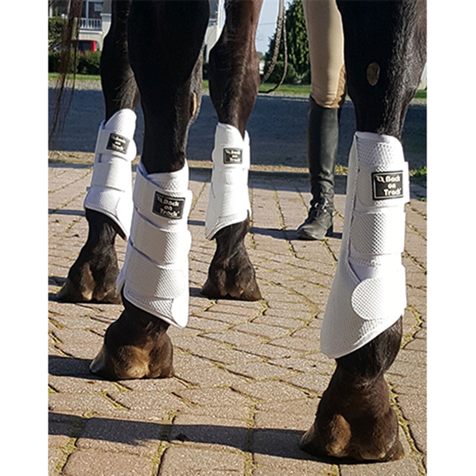 Back on Track Guêtres fermées mailles, S-M Leg Protection & Hoof Protection for Horses