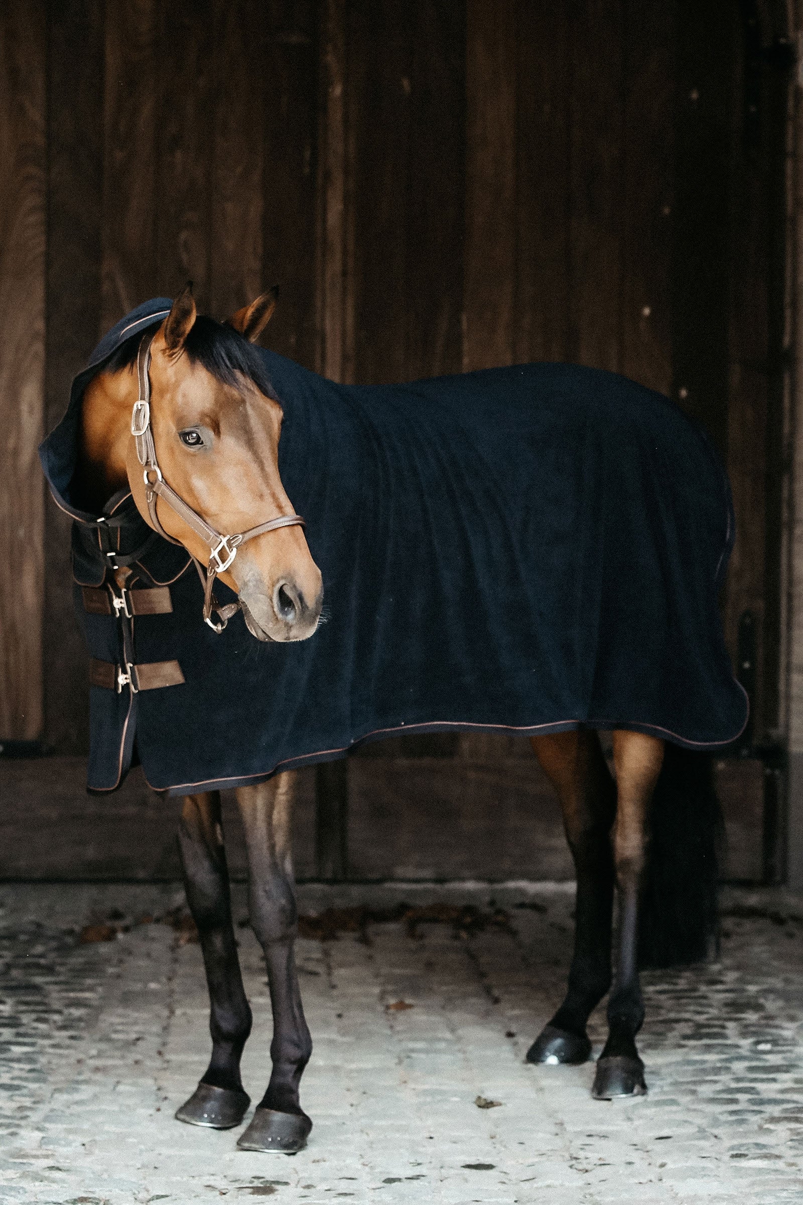 Kentucky Horsewear Couverture séchante serviette Couvertures cheval