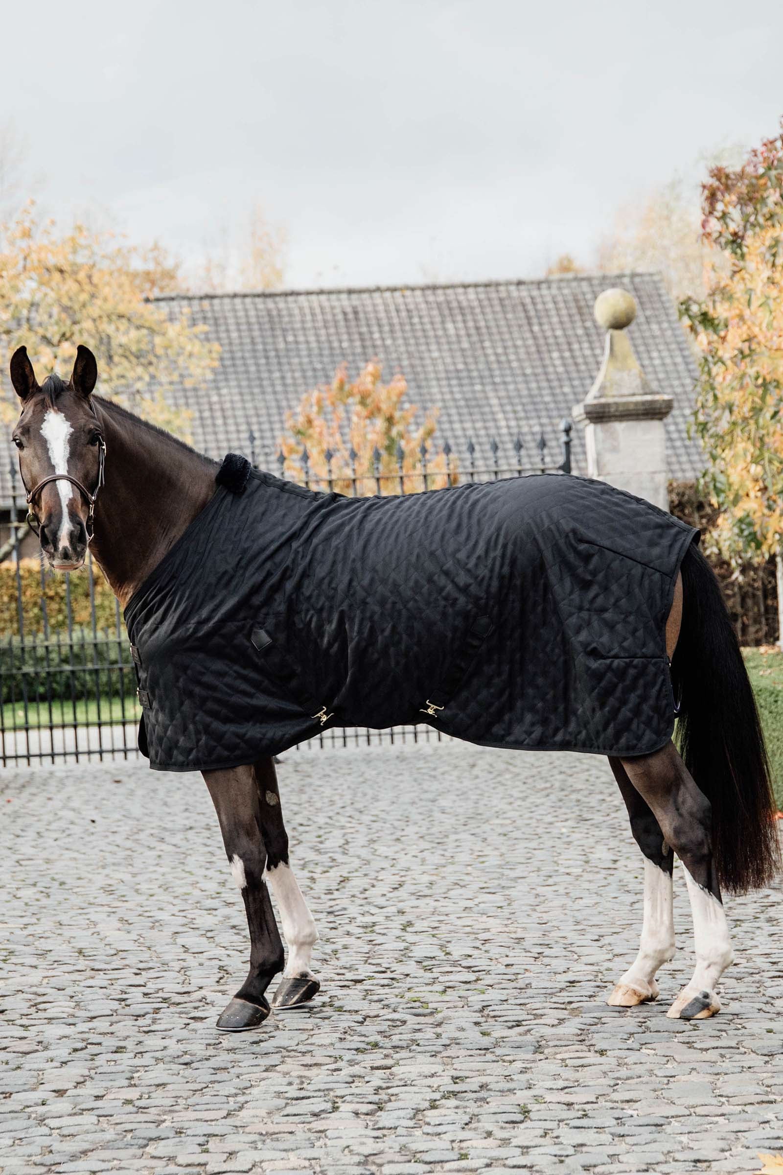 Kentucky Horsewear Couverture d'écurie 0 g Couvertures cheval