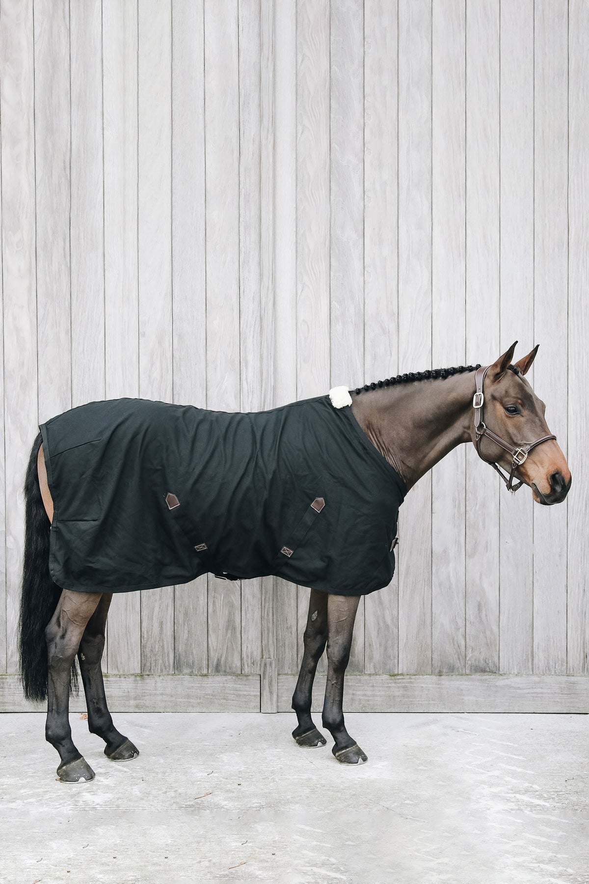 Kentucky Horsewear Séchante en coton Kentucky Horsewear Couvertures cheval