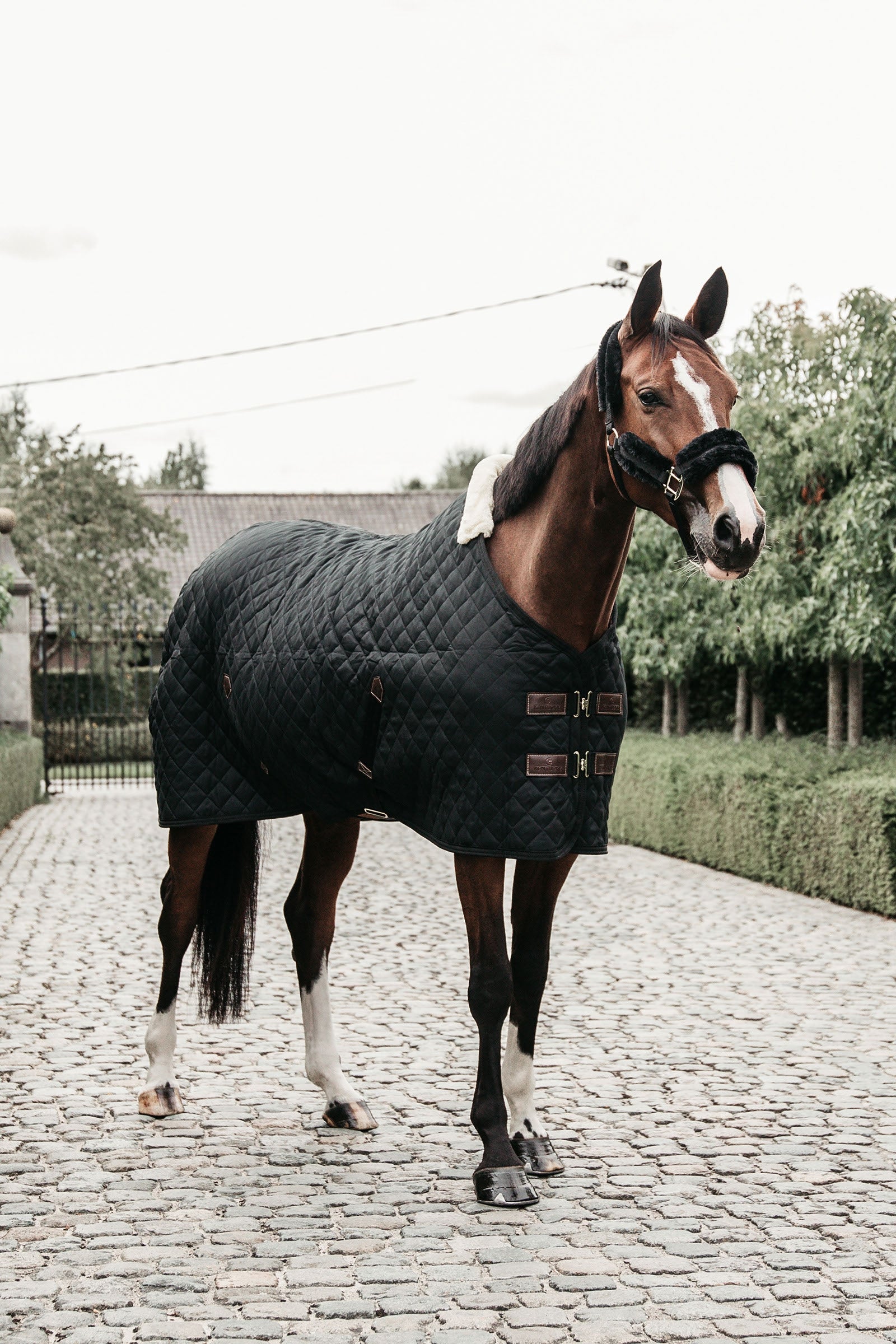 Kentucky Horsewear Couverture d'Ecurie 400g Couvertures cheval