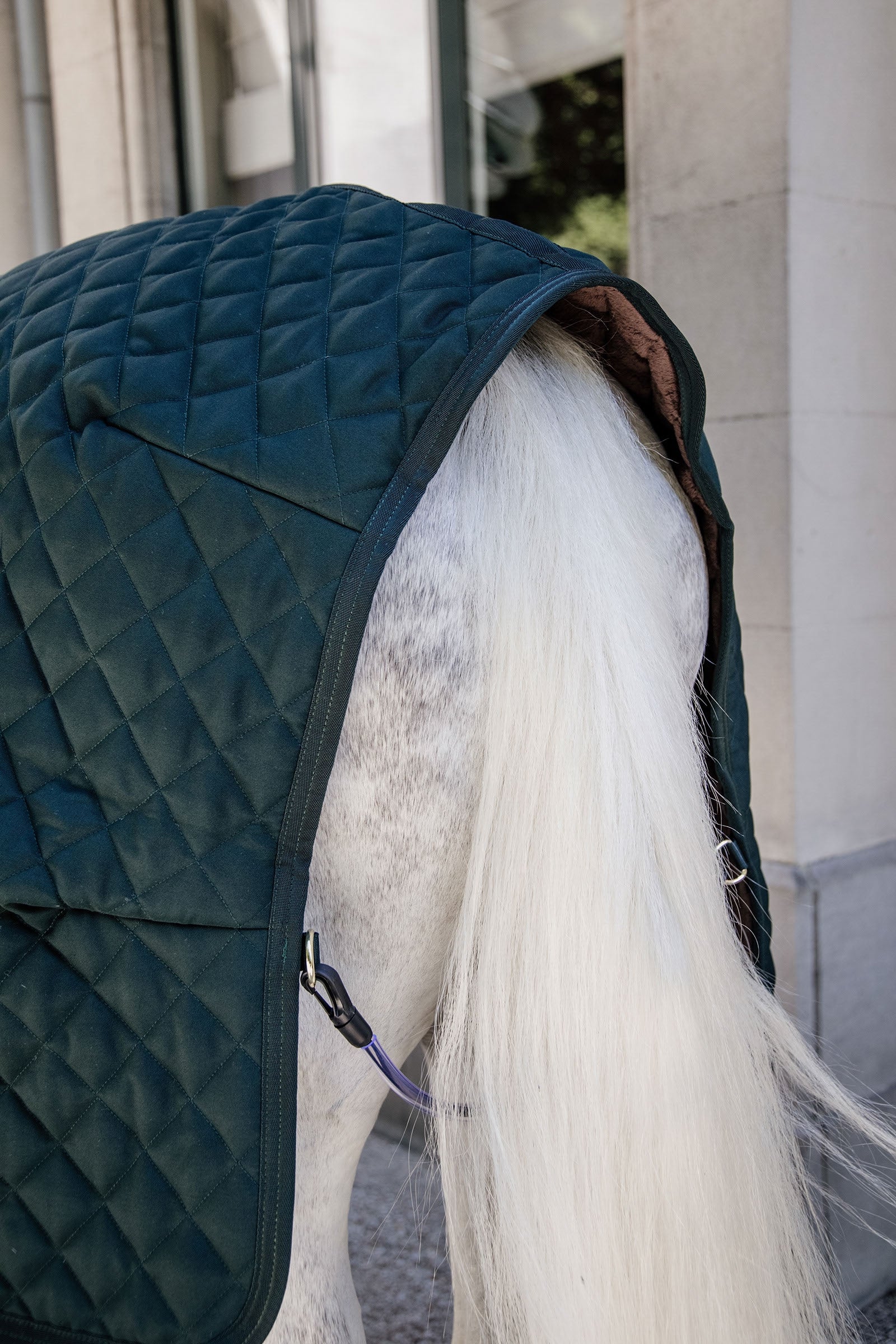 Kentucky Horsewear Stable Rug, 400g Horse Rugs