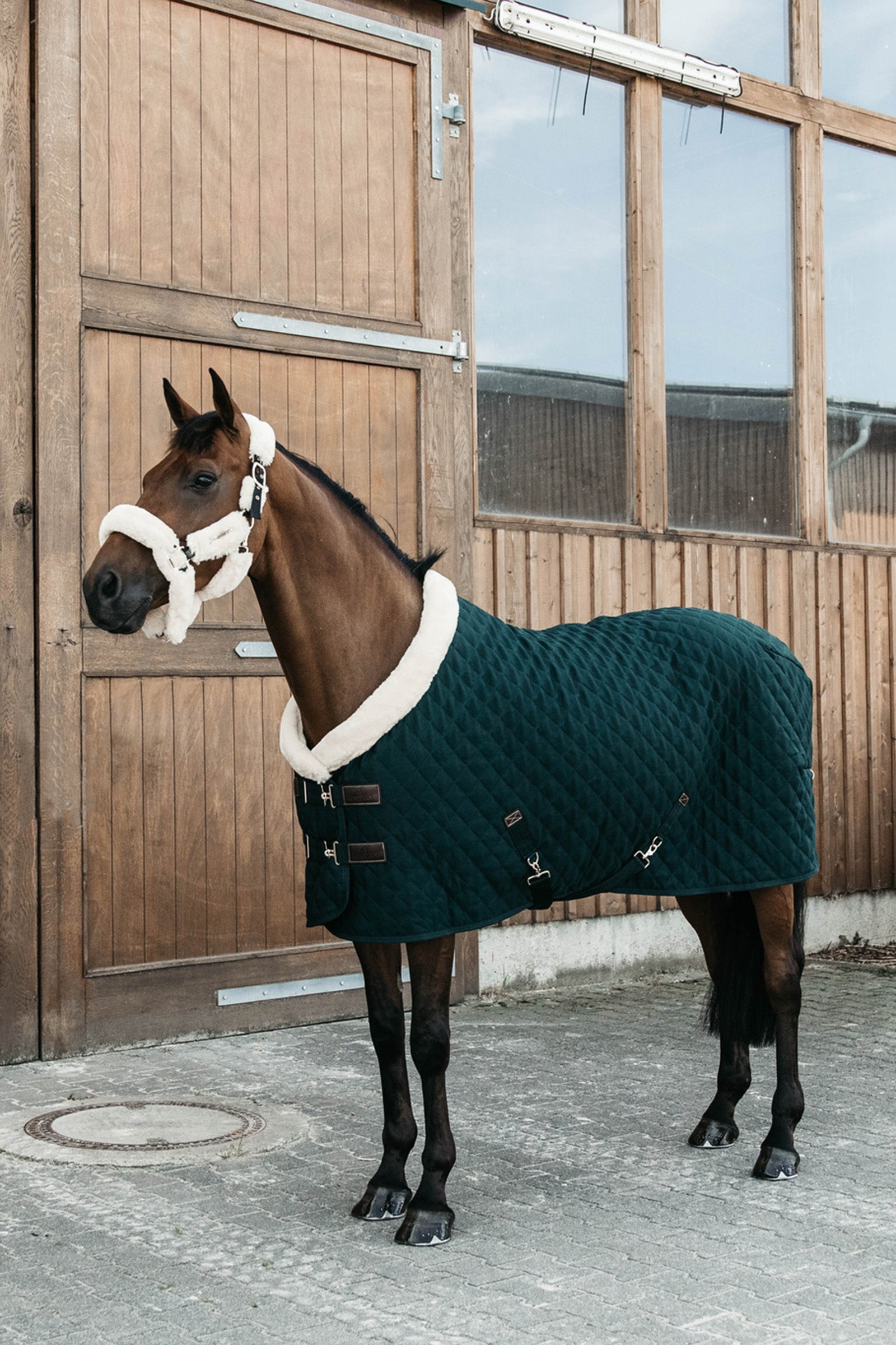 Kentucky Horsewear Kentucky Couverture de PrésentationHorsewear 160g Couvertures cheval