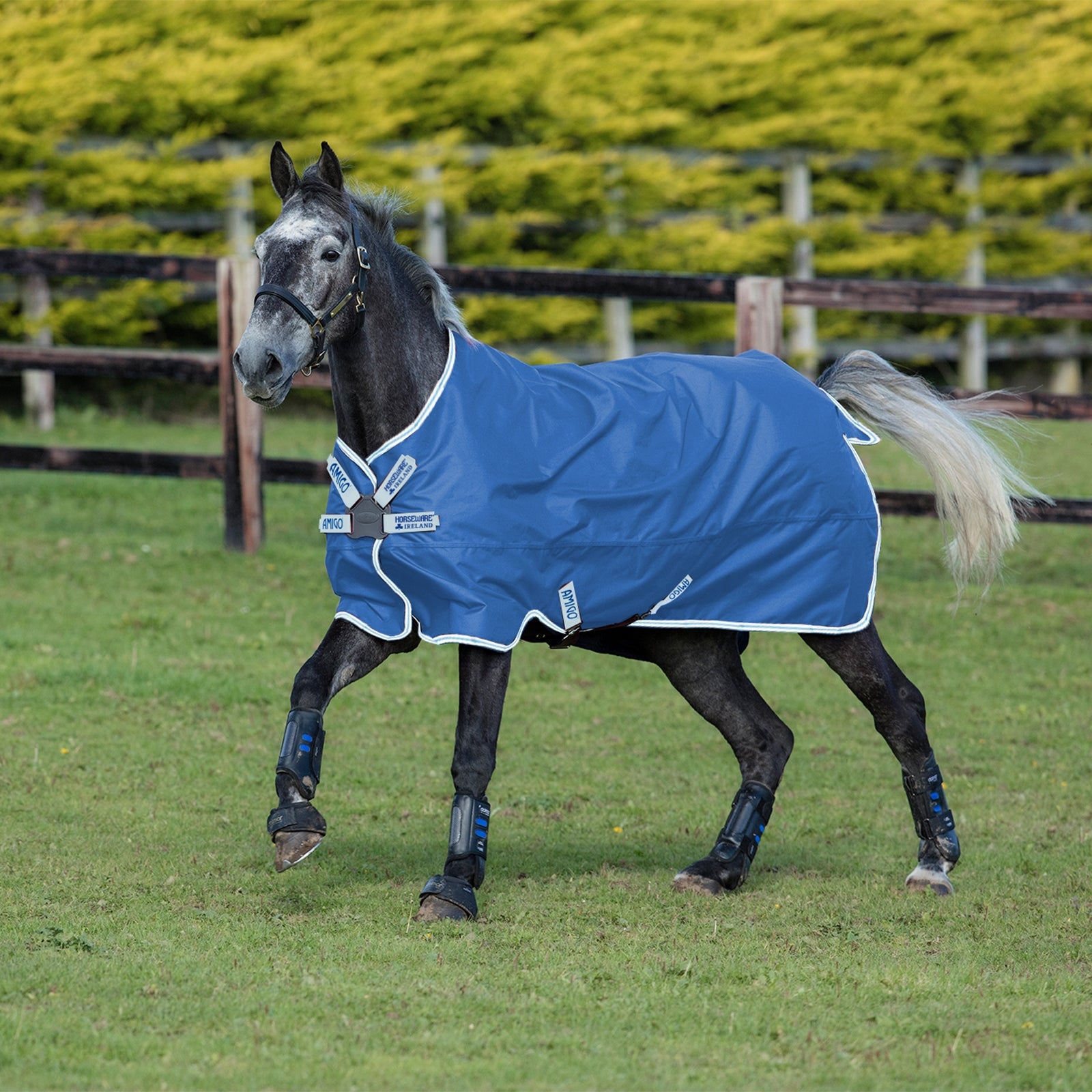 Horseware Couverture d'extérieur Amigo Hero 900 DF 50 g Couvertures cheval
