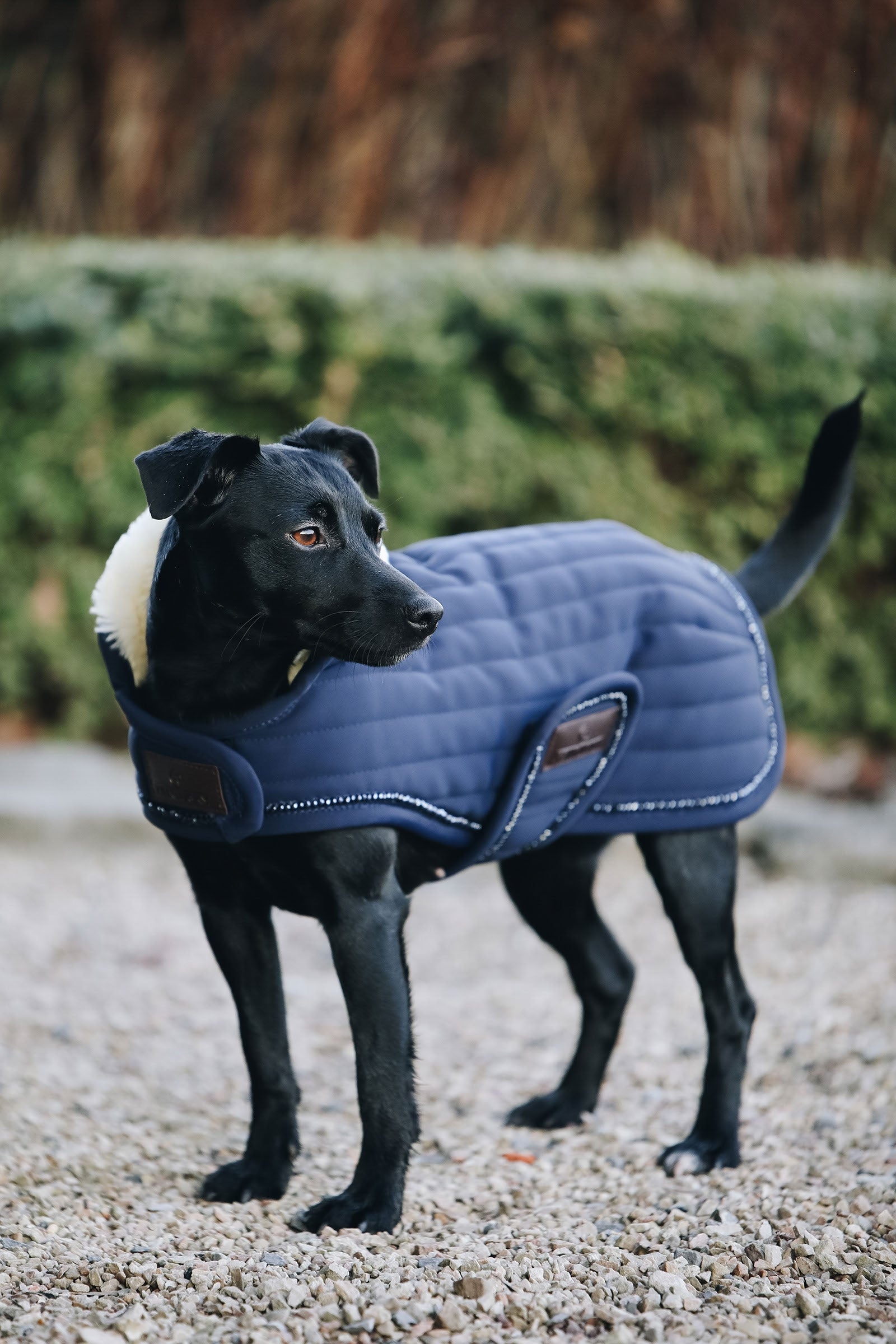 Kentucky Dogwear Dog Coat Pearls Dog Accesories