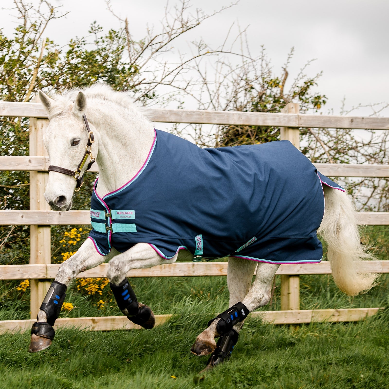 Horseware Couverture d'extérieur Amigo Hero 900 0 g Poney Couvertures cheval