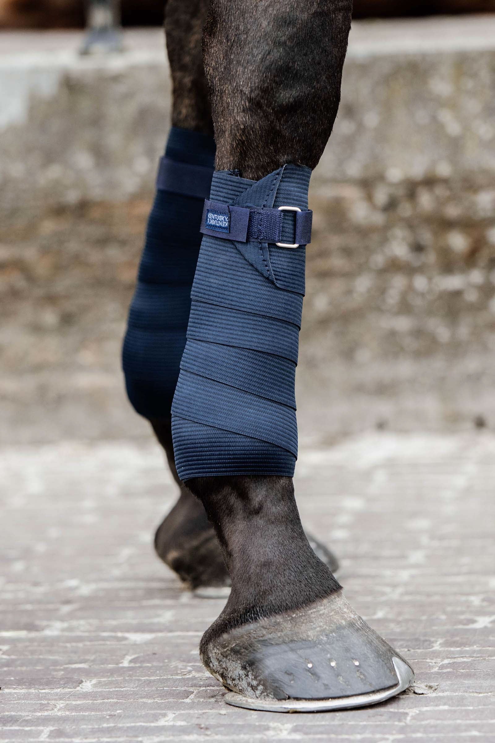 Kentucky Horsewear Bandes en polaire élastiques Polar Leg Protection & Hoof Protection for Horses