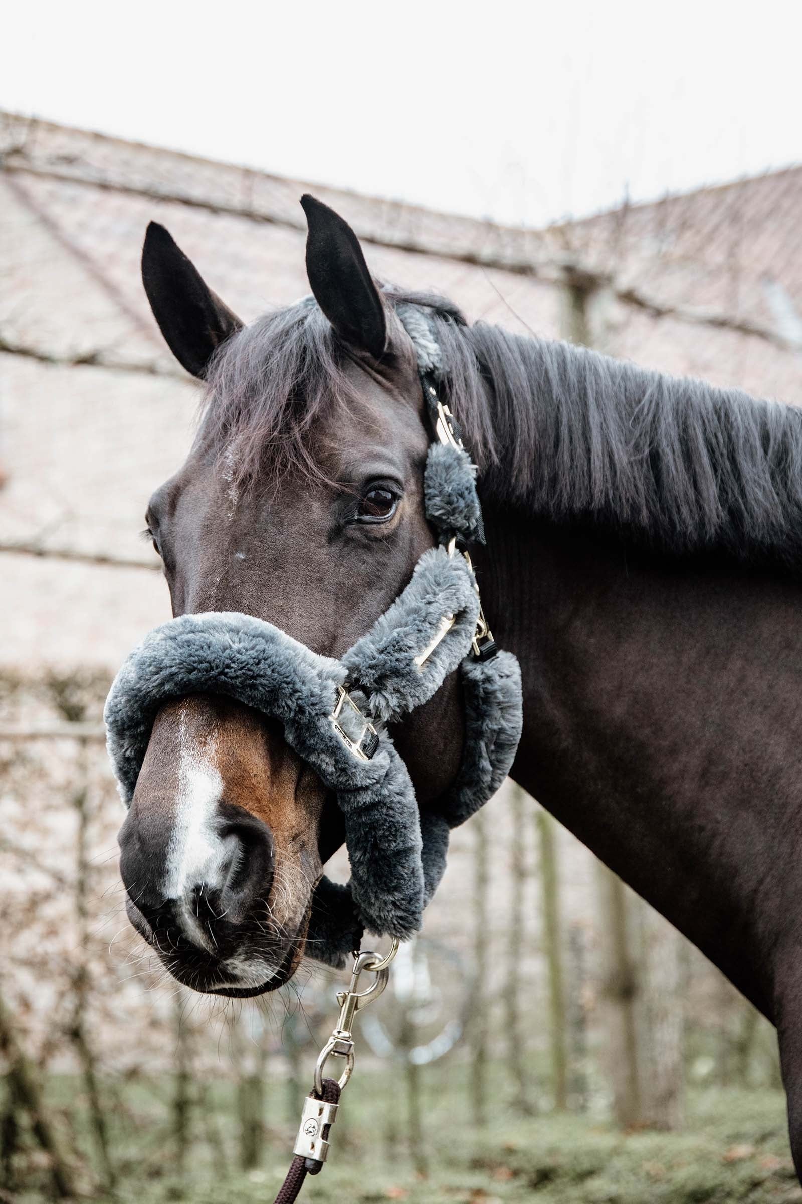Kentucky Horsewear Shipping Halter With Sheepskin Halters & Leads