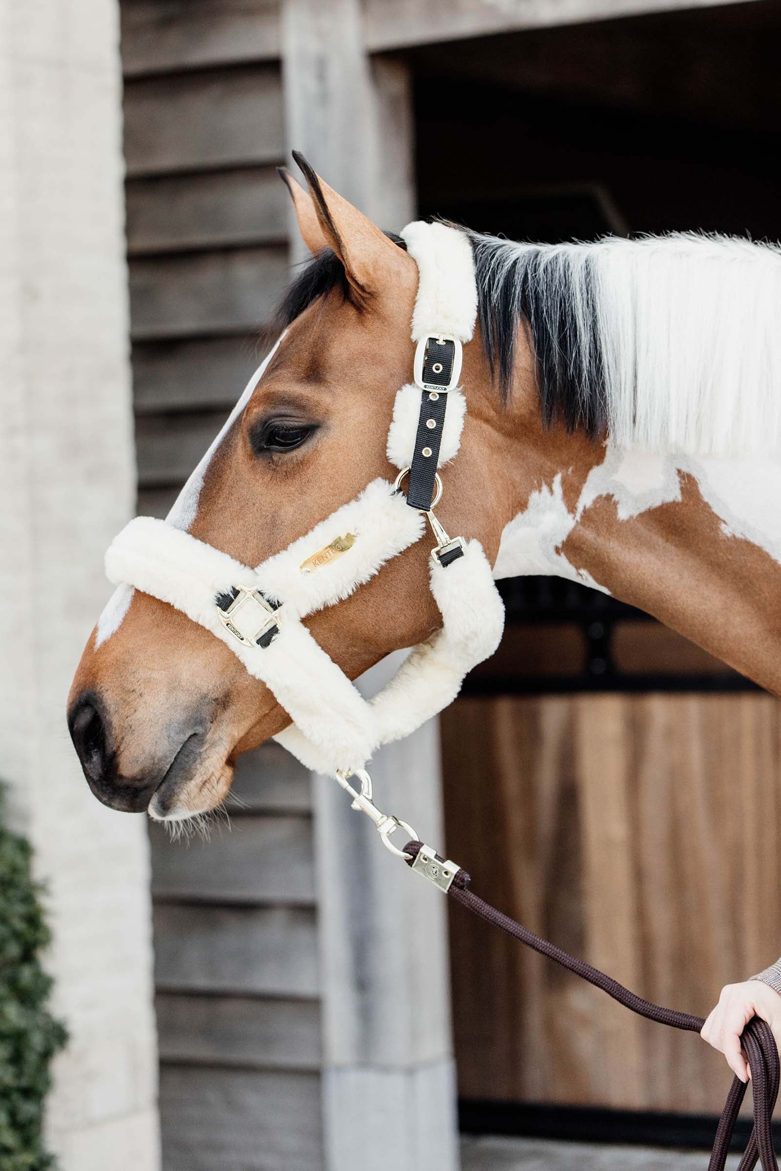 Kentucky Horsewear Shipping Halter With Sheepskin Halters & Leads